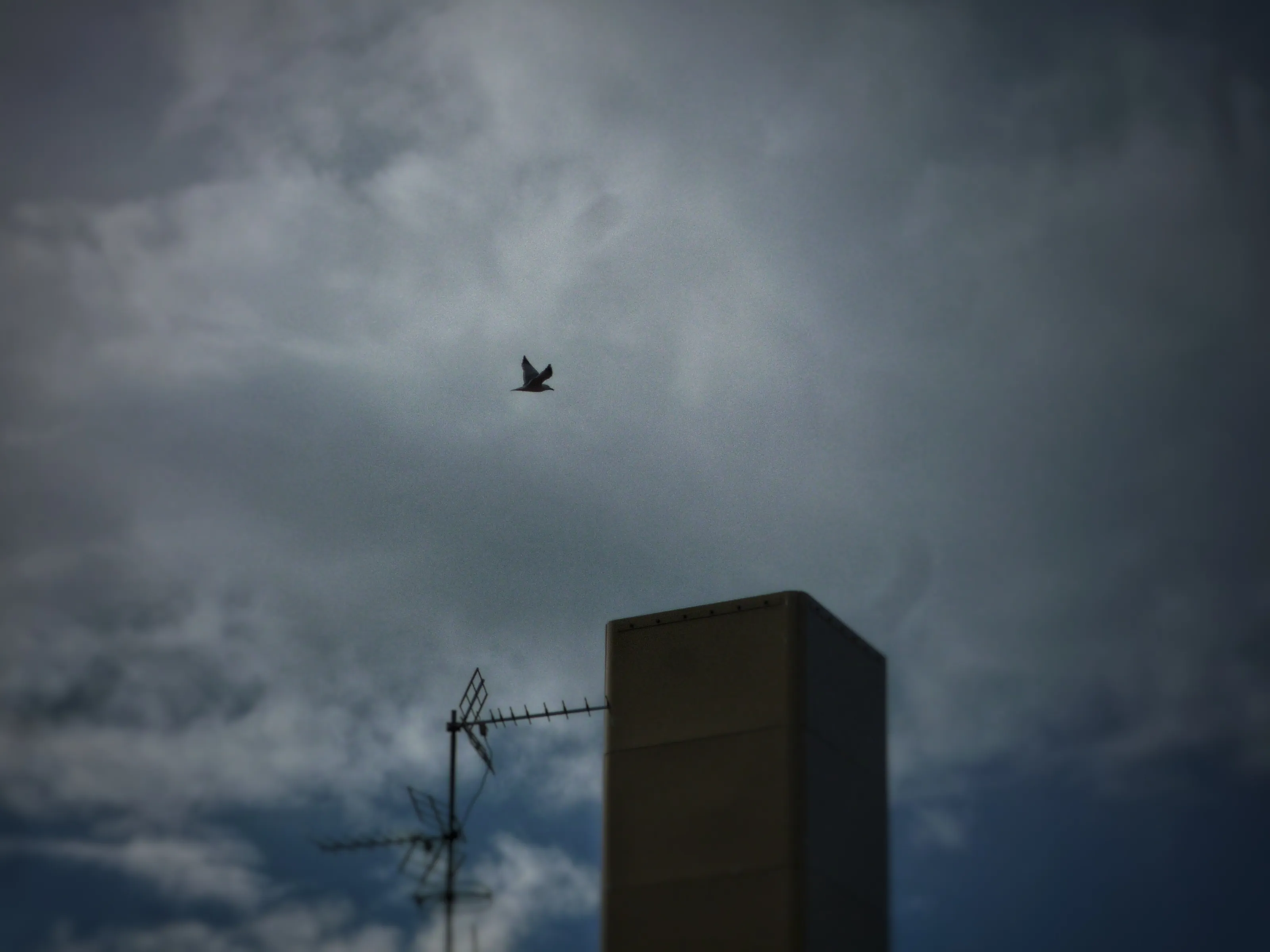 flight over the city