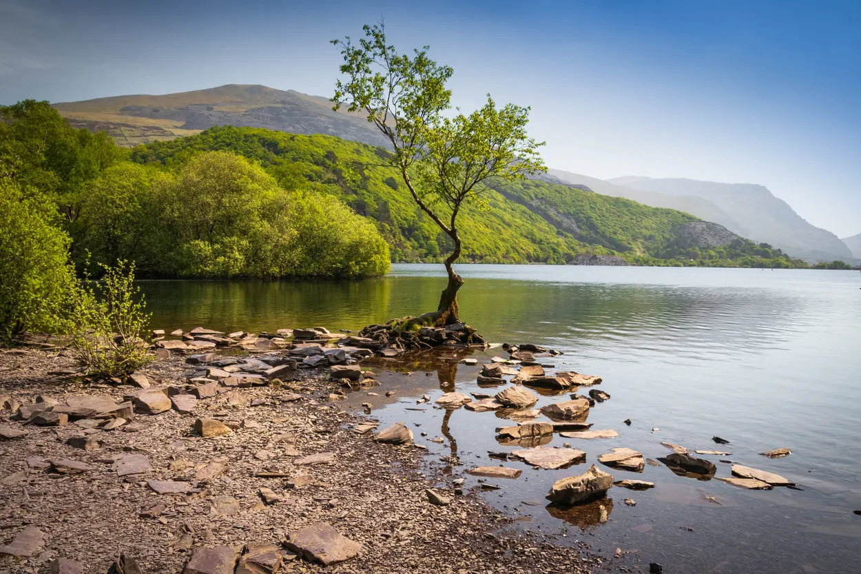 Entry 24764183