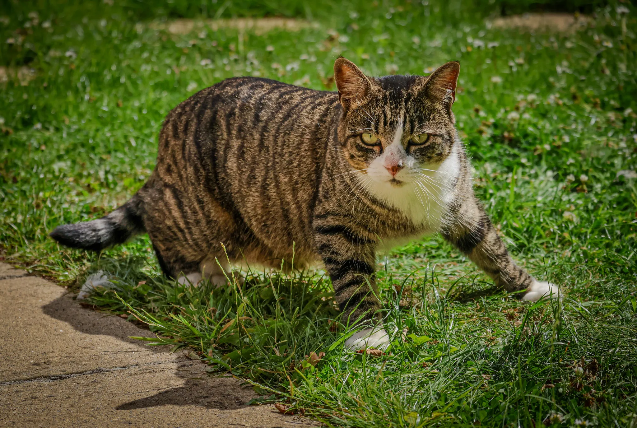 Stealth Mode: Activated