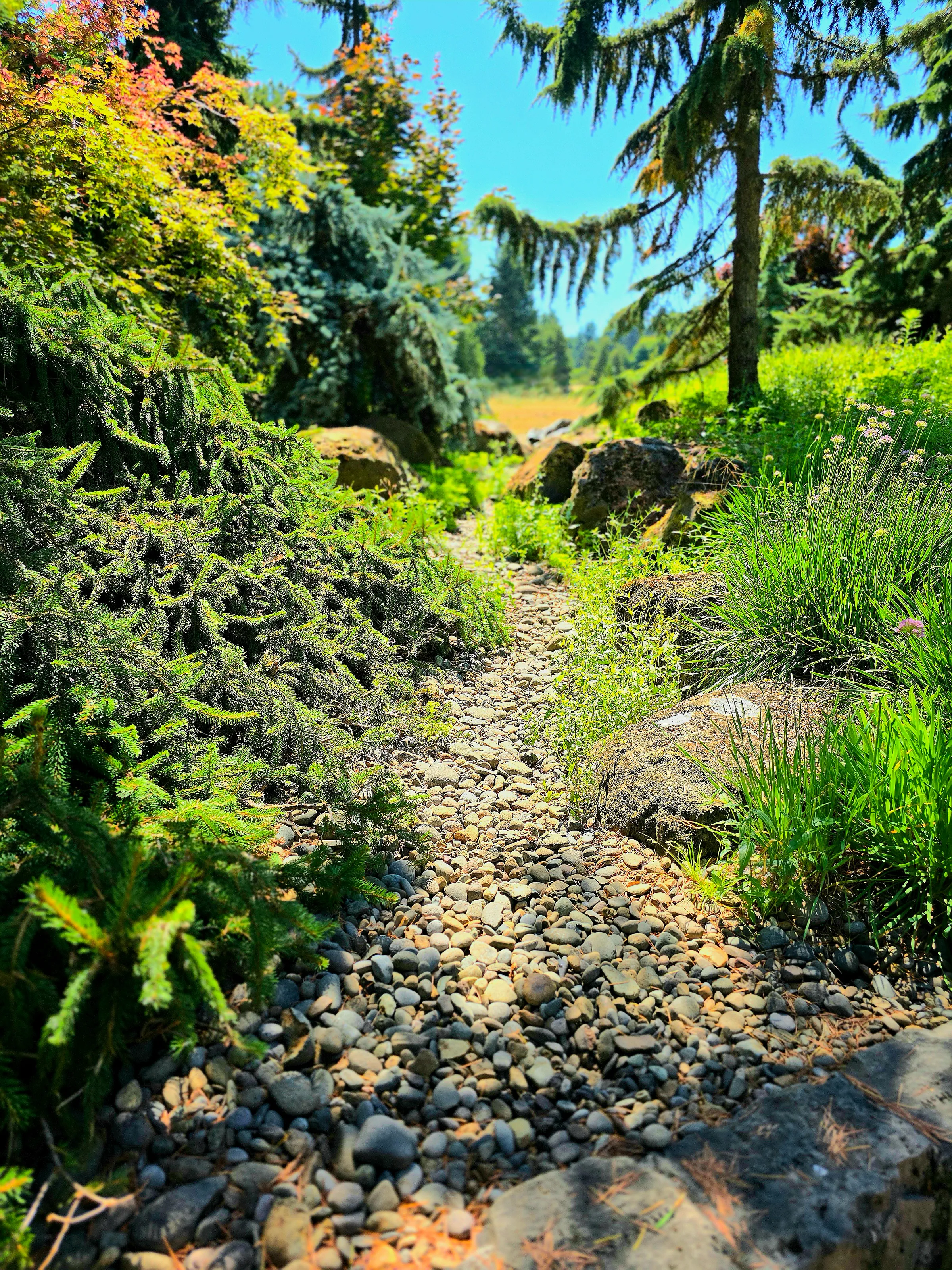 Fairy Trail