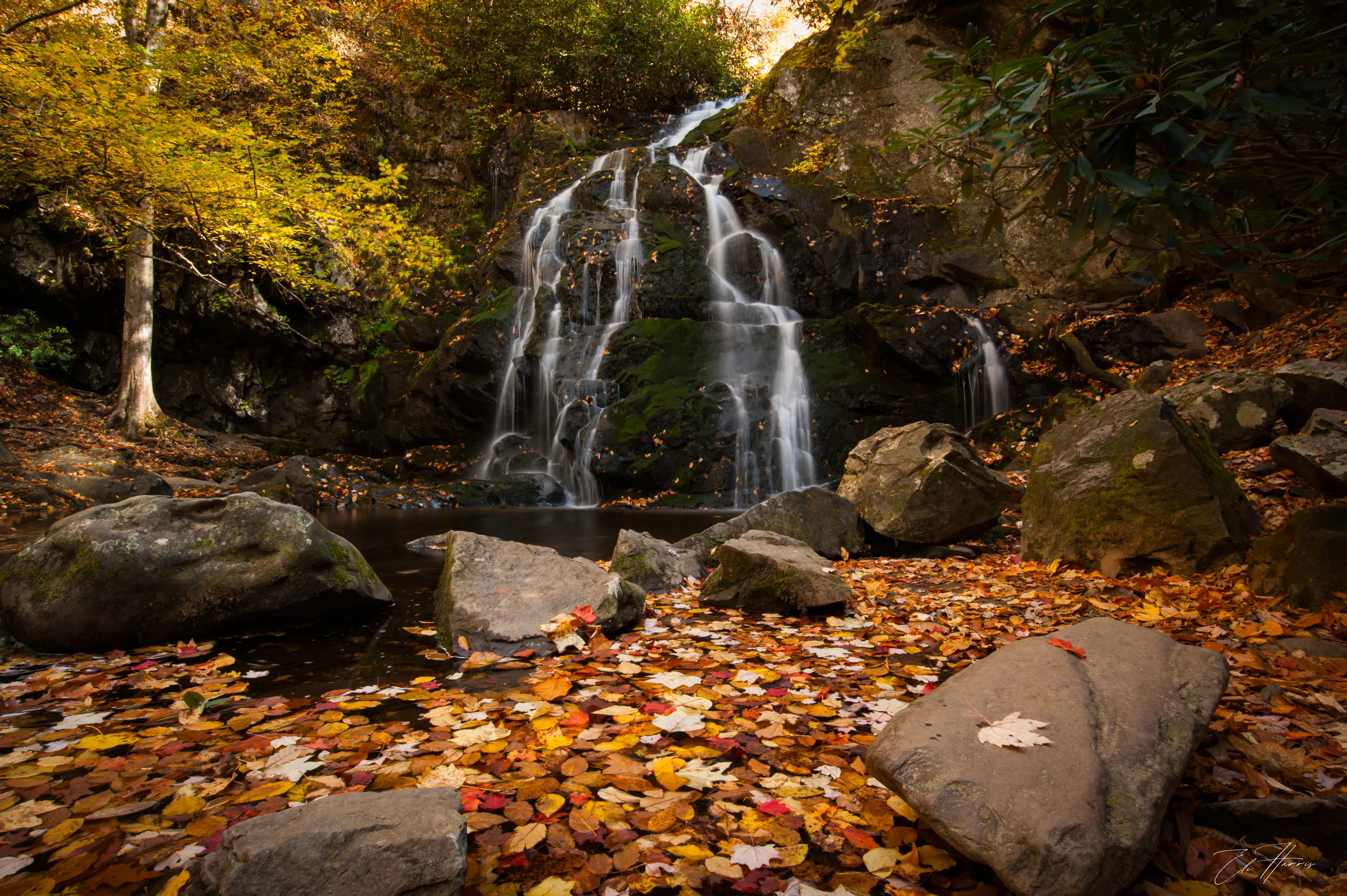 Waterfalls