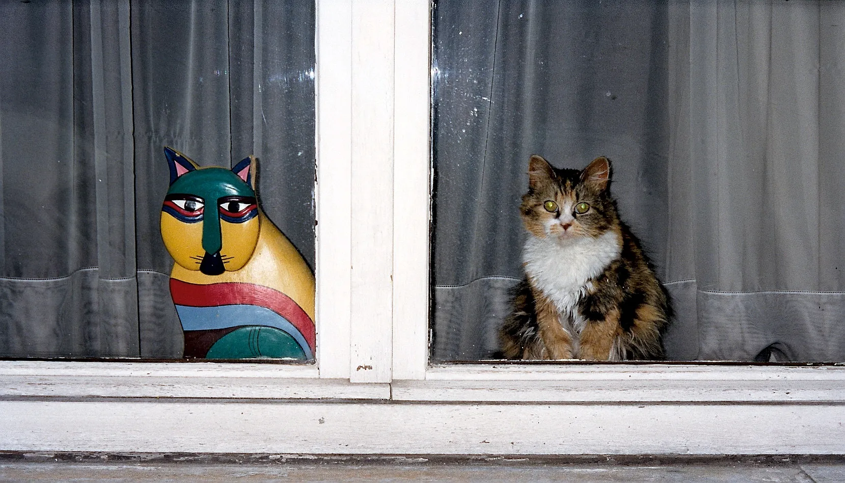 Entry 27678828