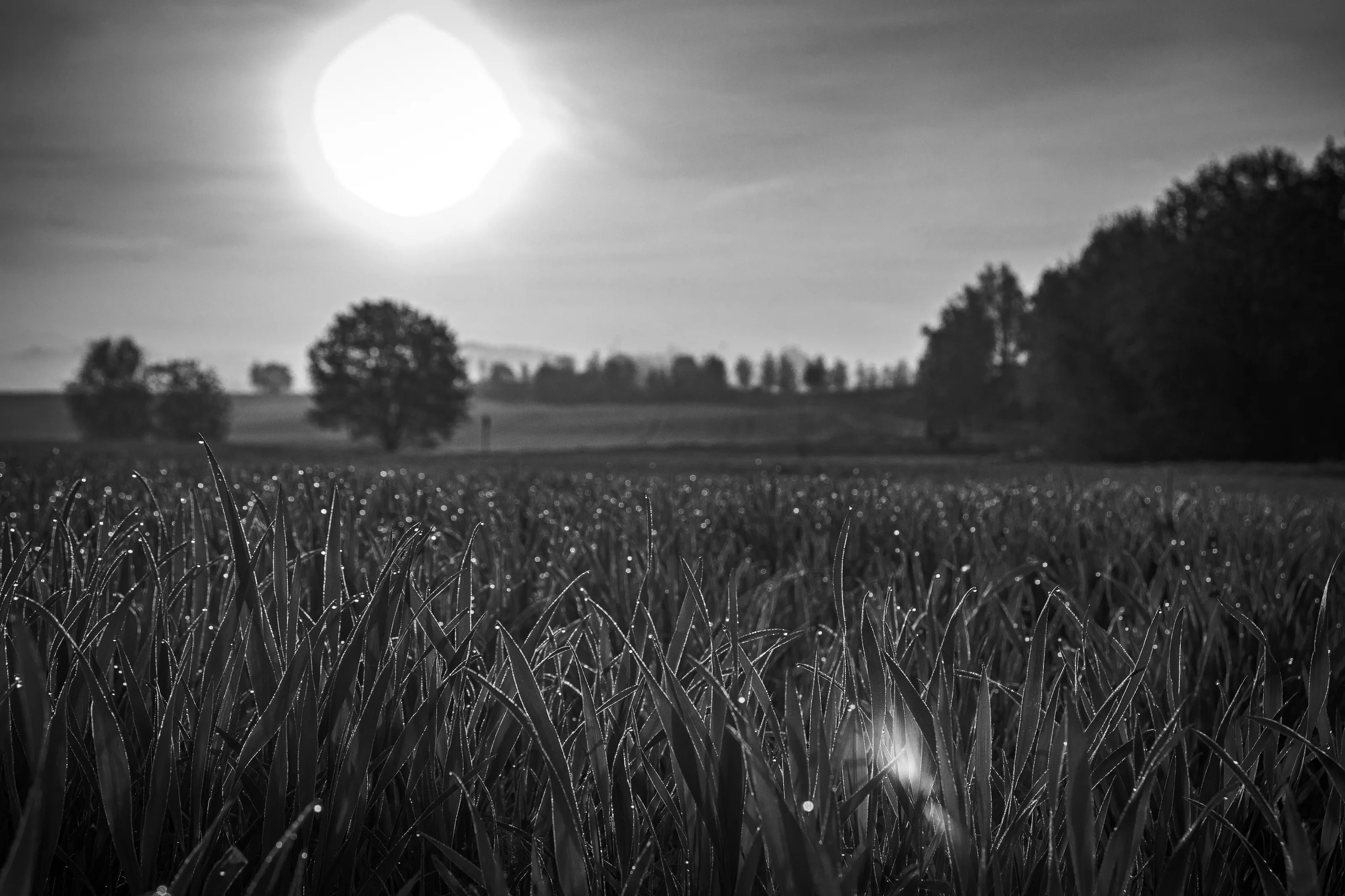 Morning breath
