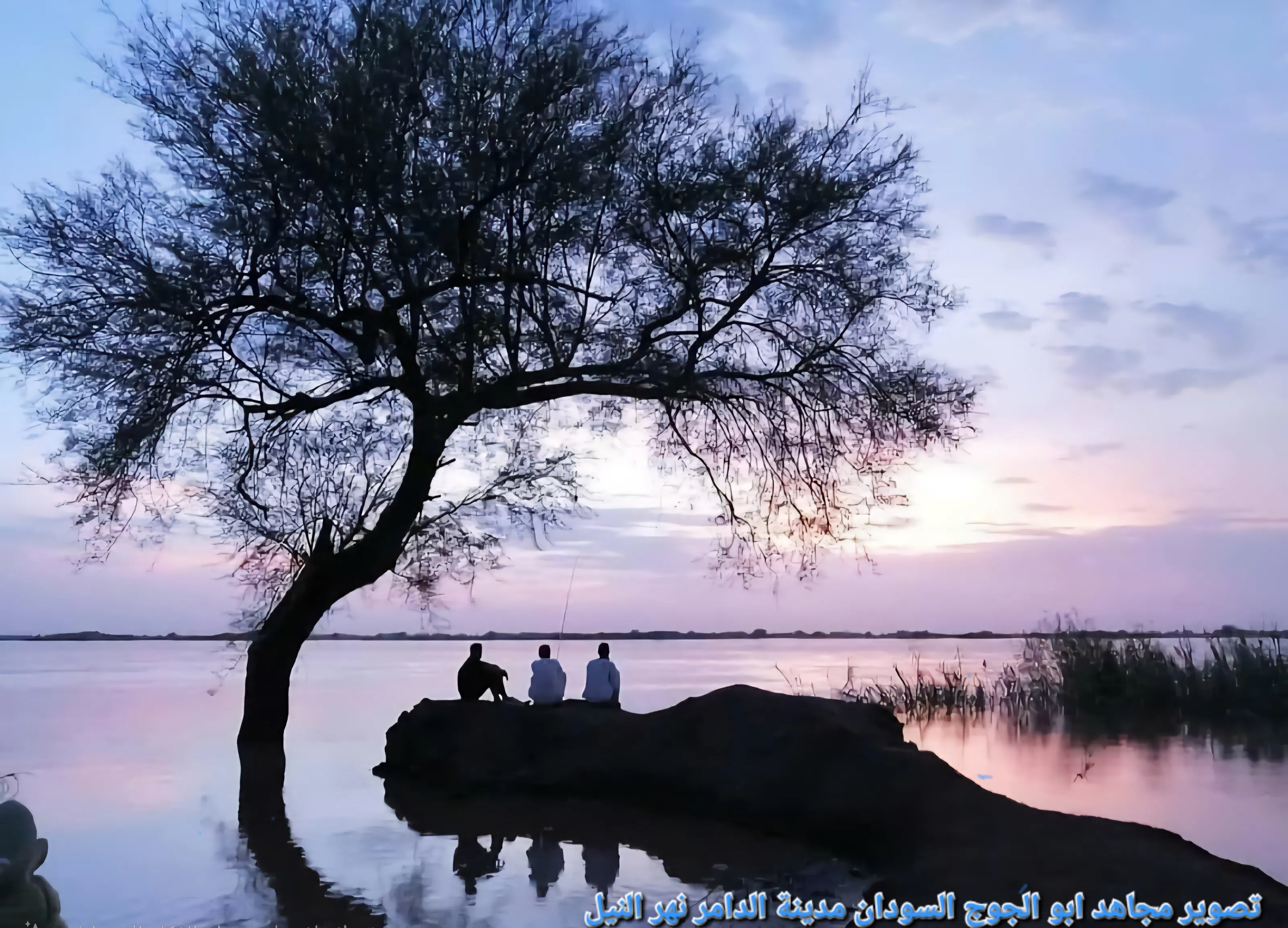 المملكة العربية السعودية
