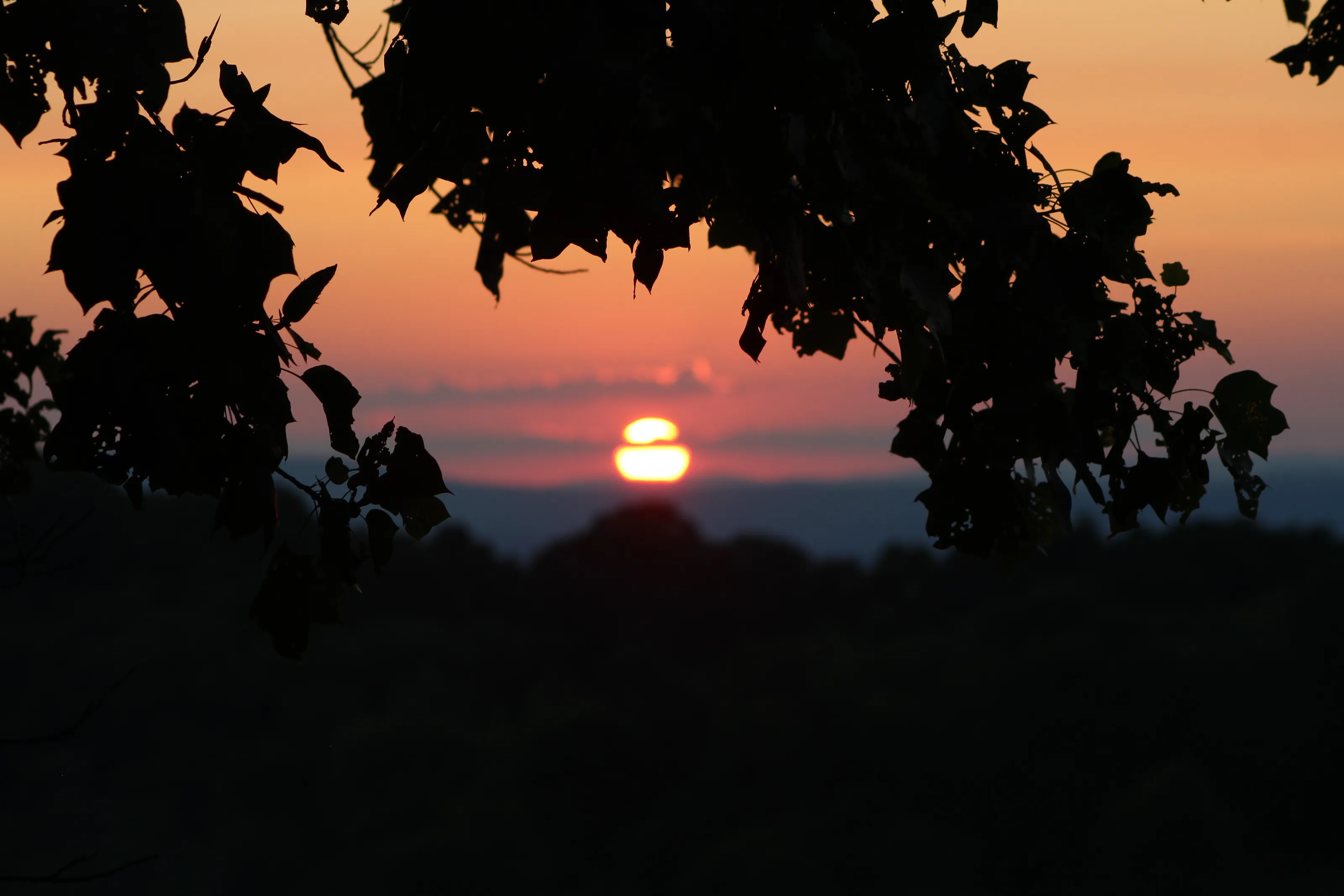 Framed in dusk