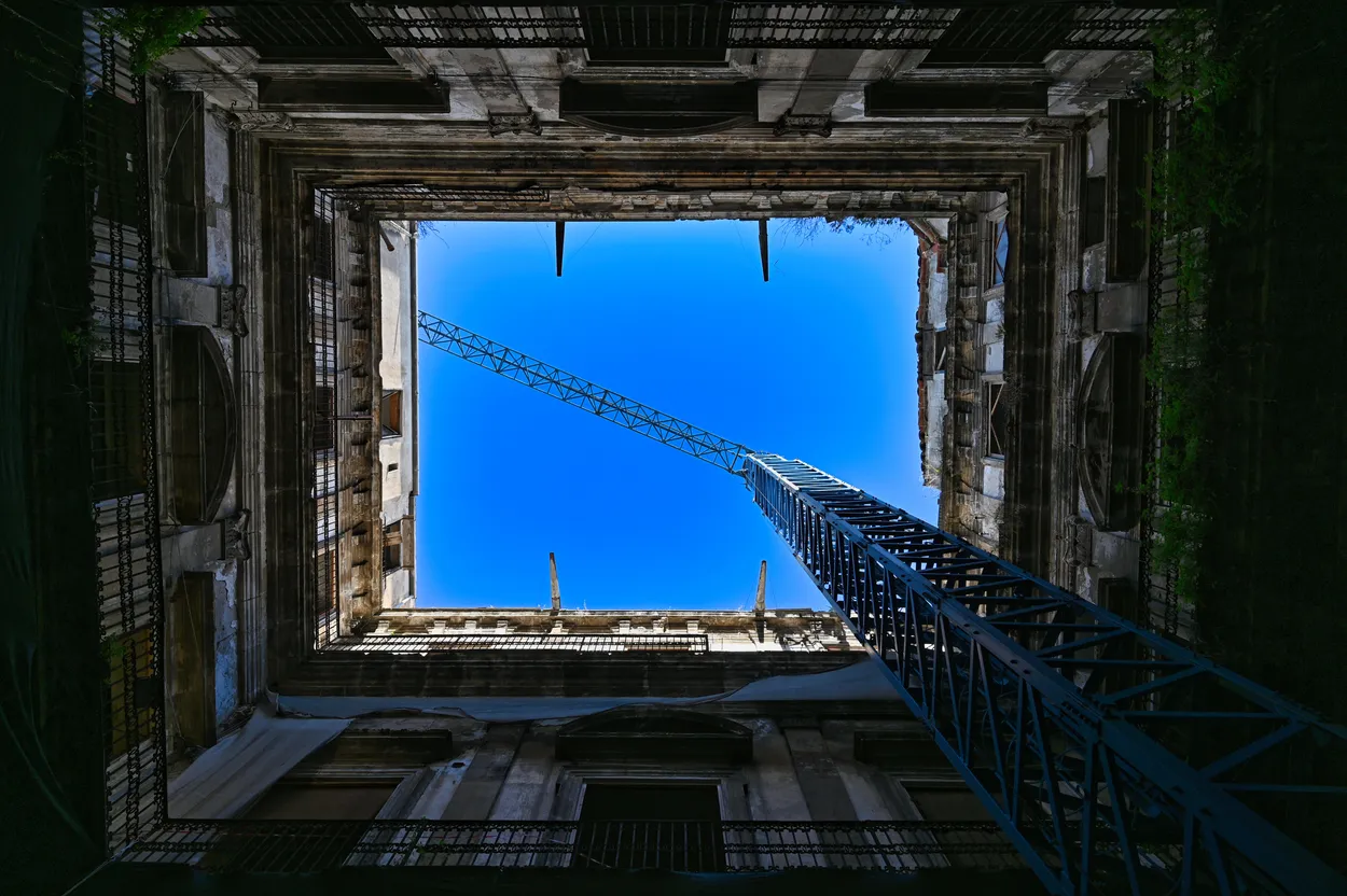 Entry 24803426