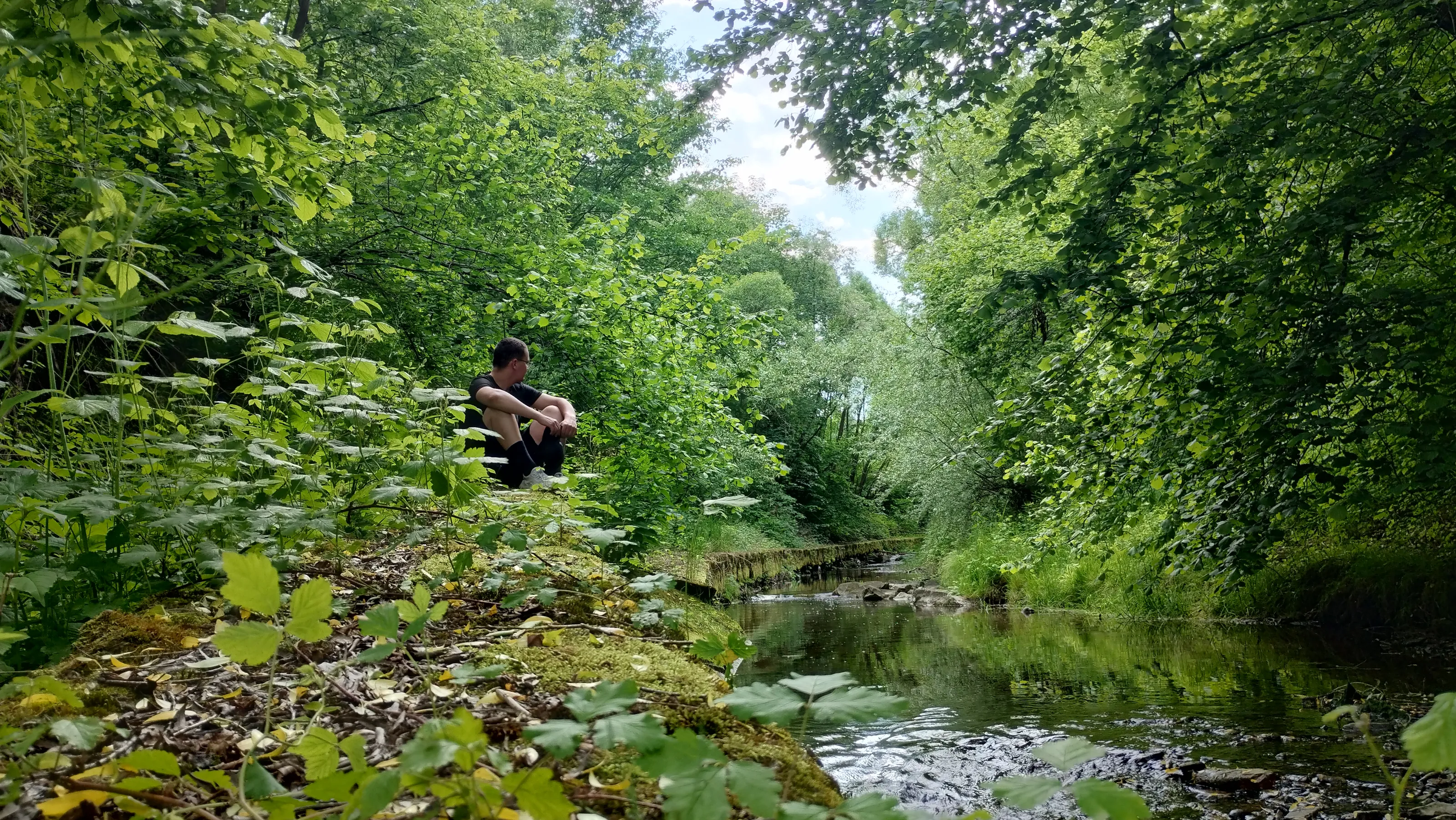 I like waterscapes