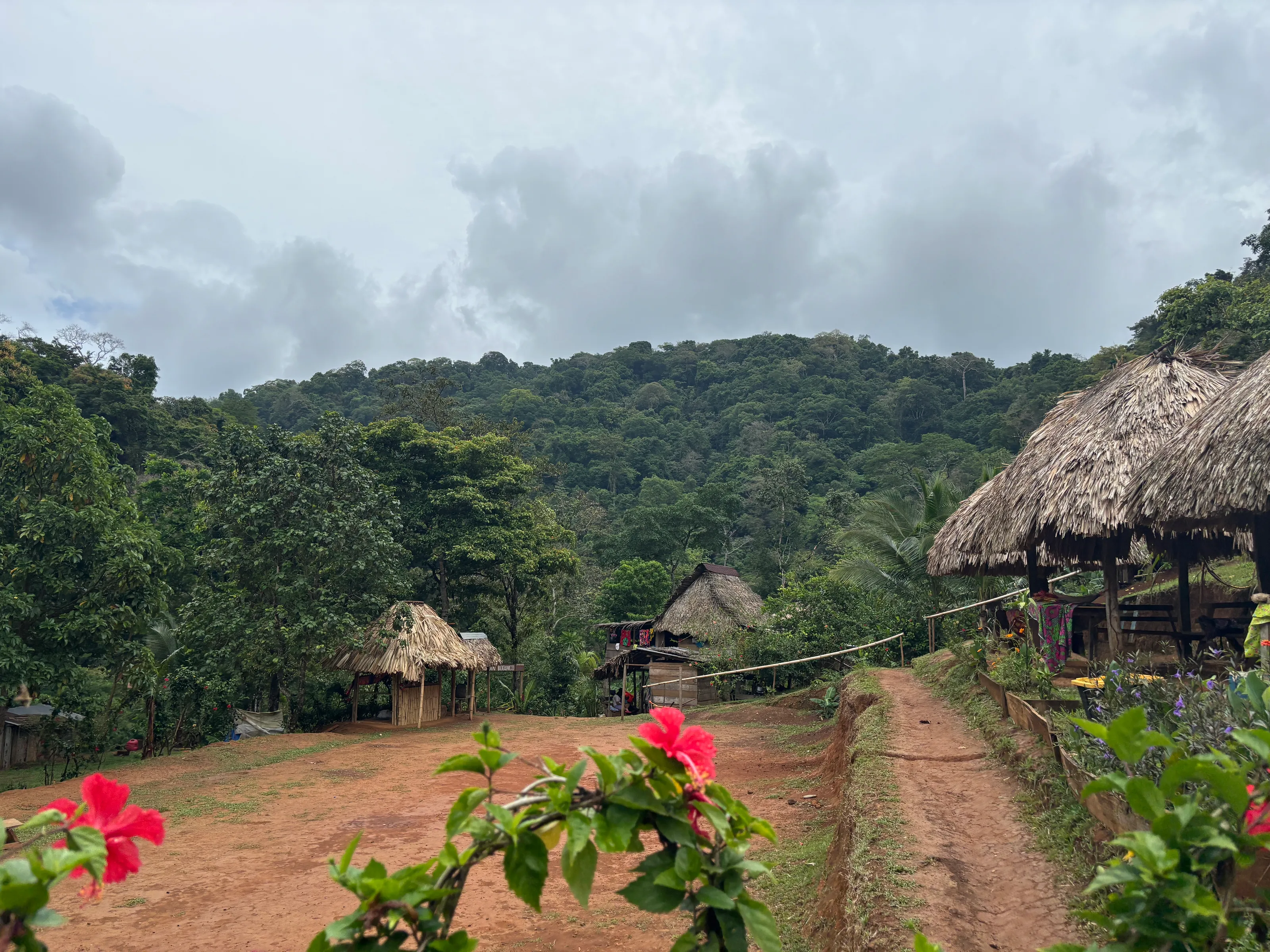 Embera Echoes