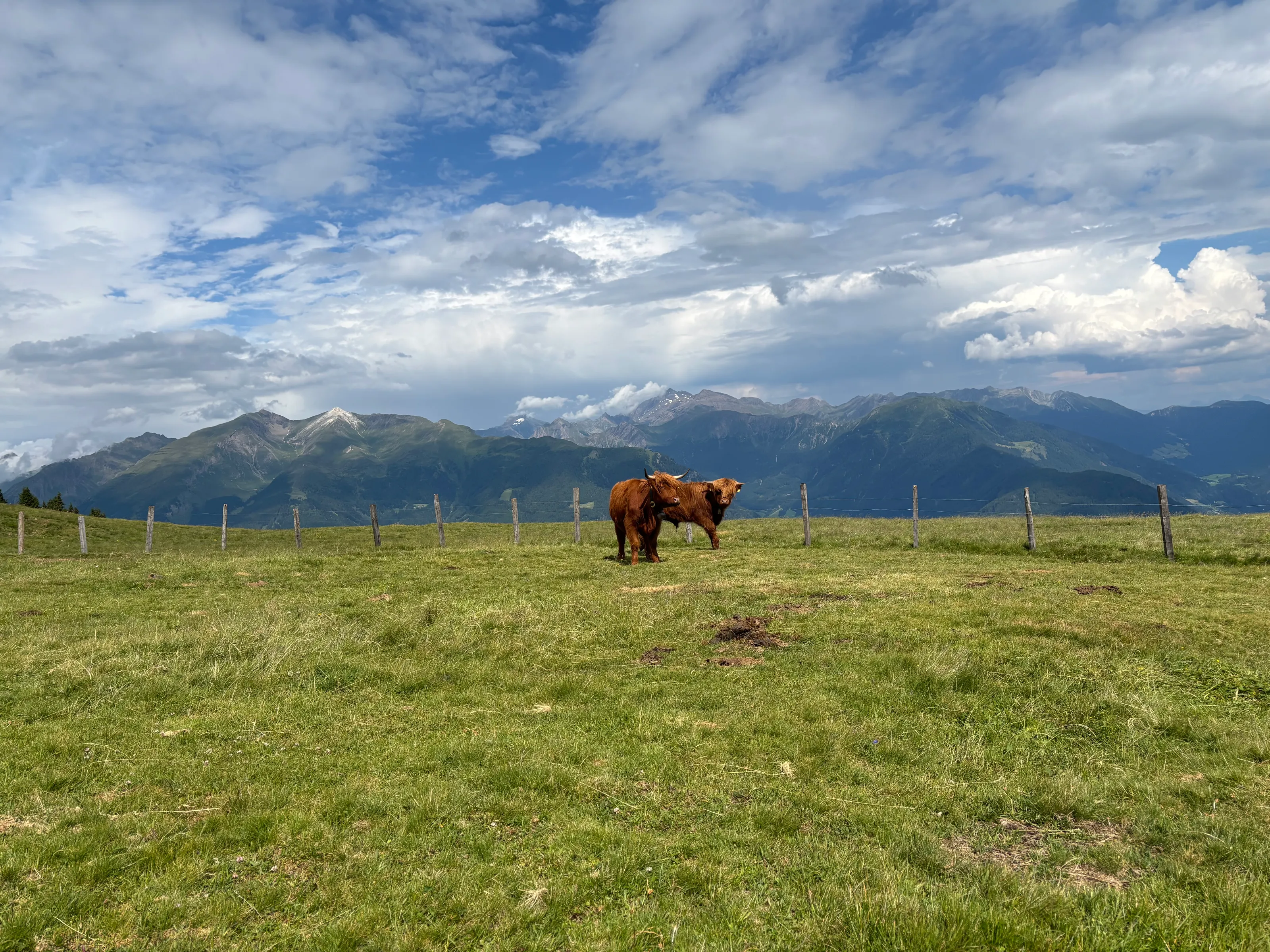 Mountain life
