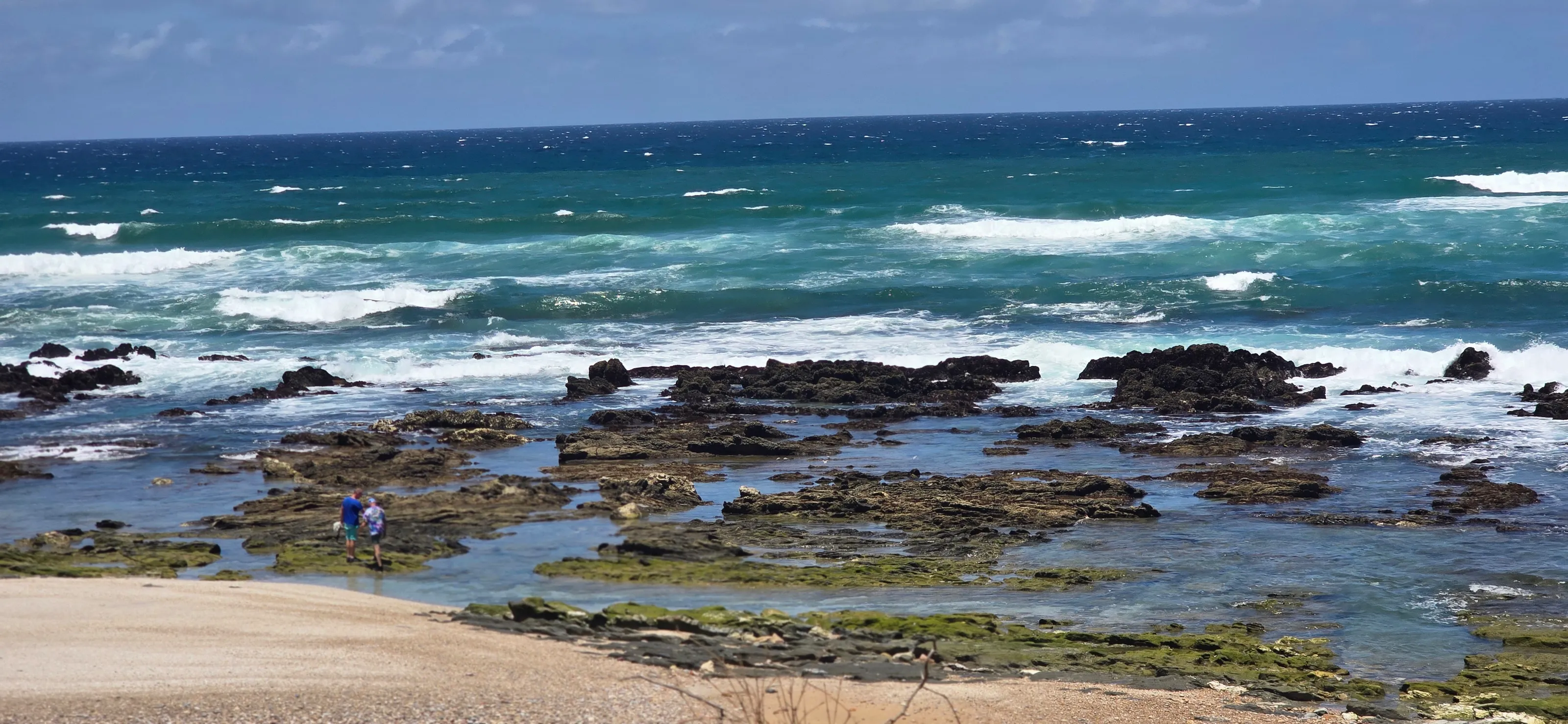 Beautiful  view by the sea