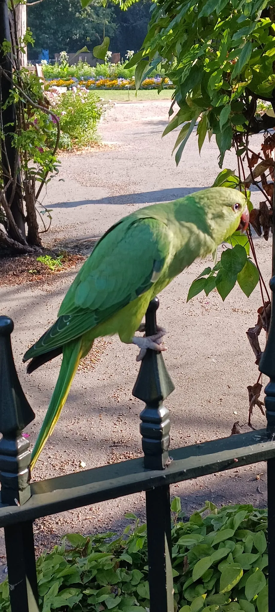 This is my best side