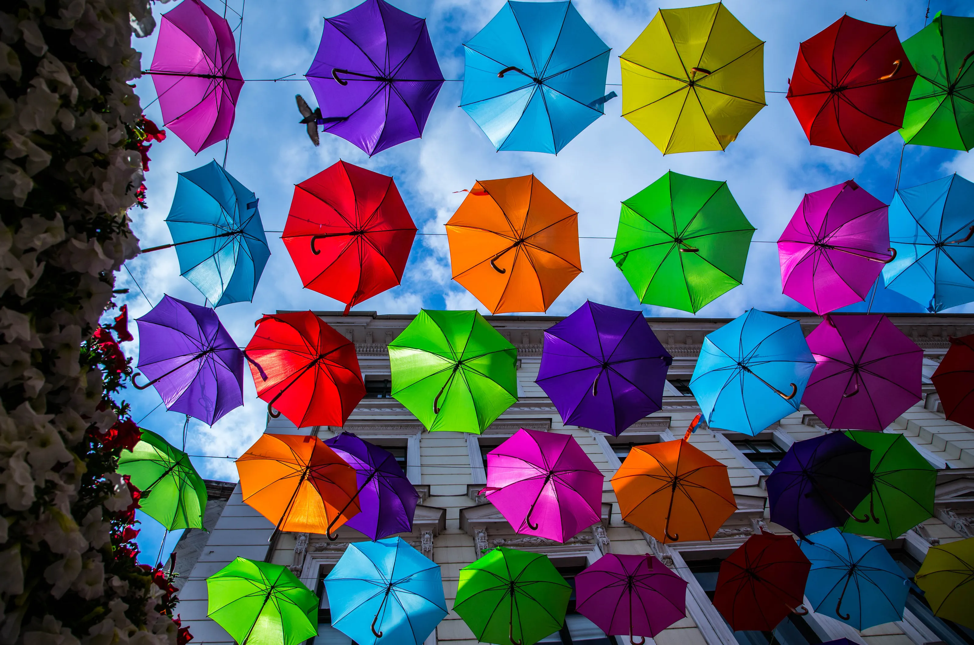 Multicolored rains