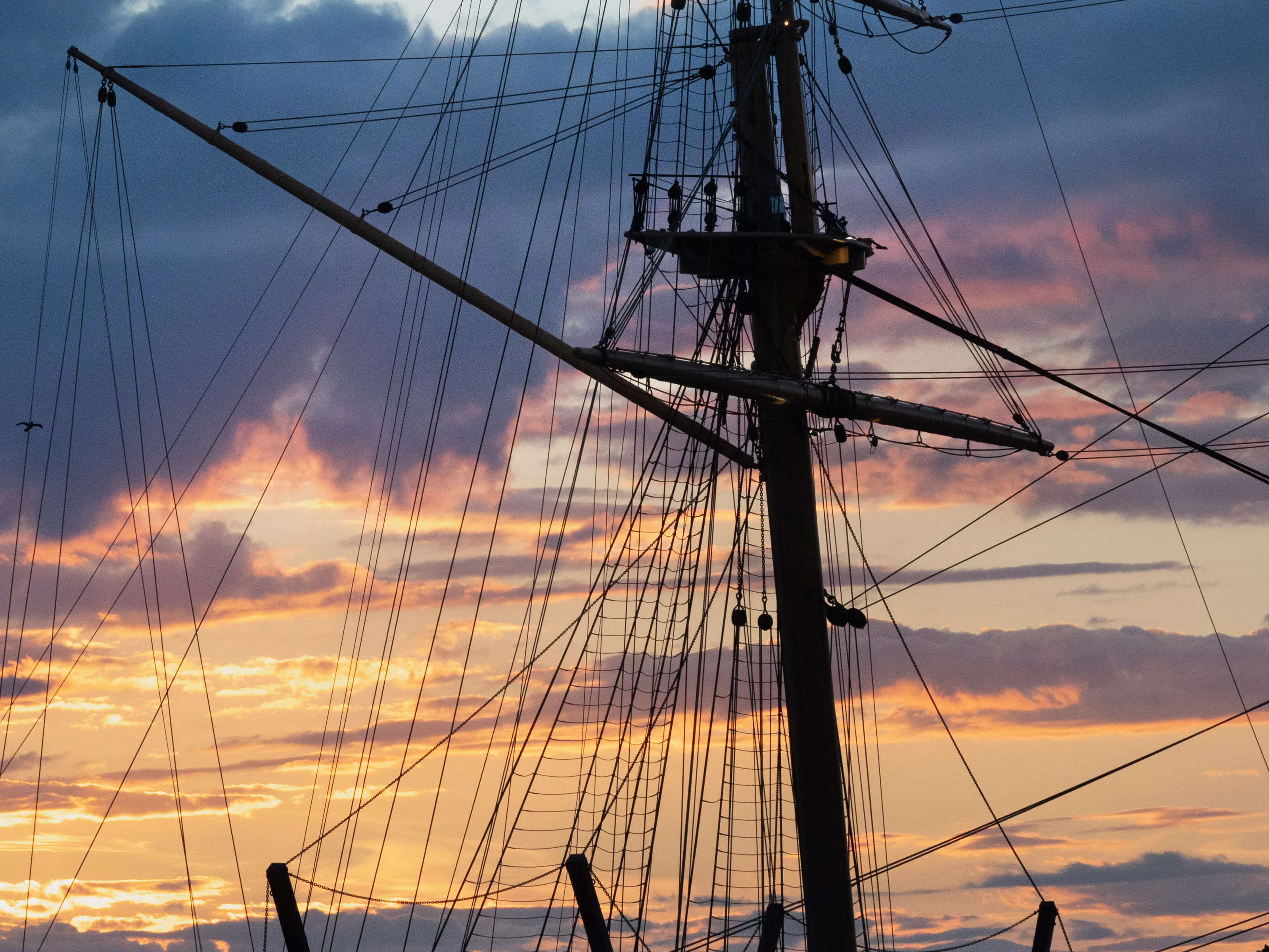 Masts of Ships and Boats