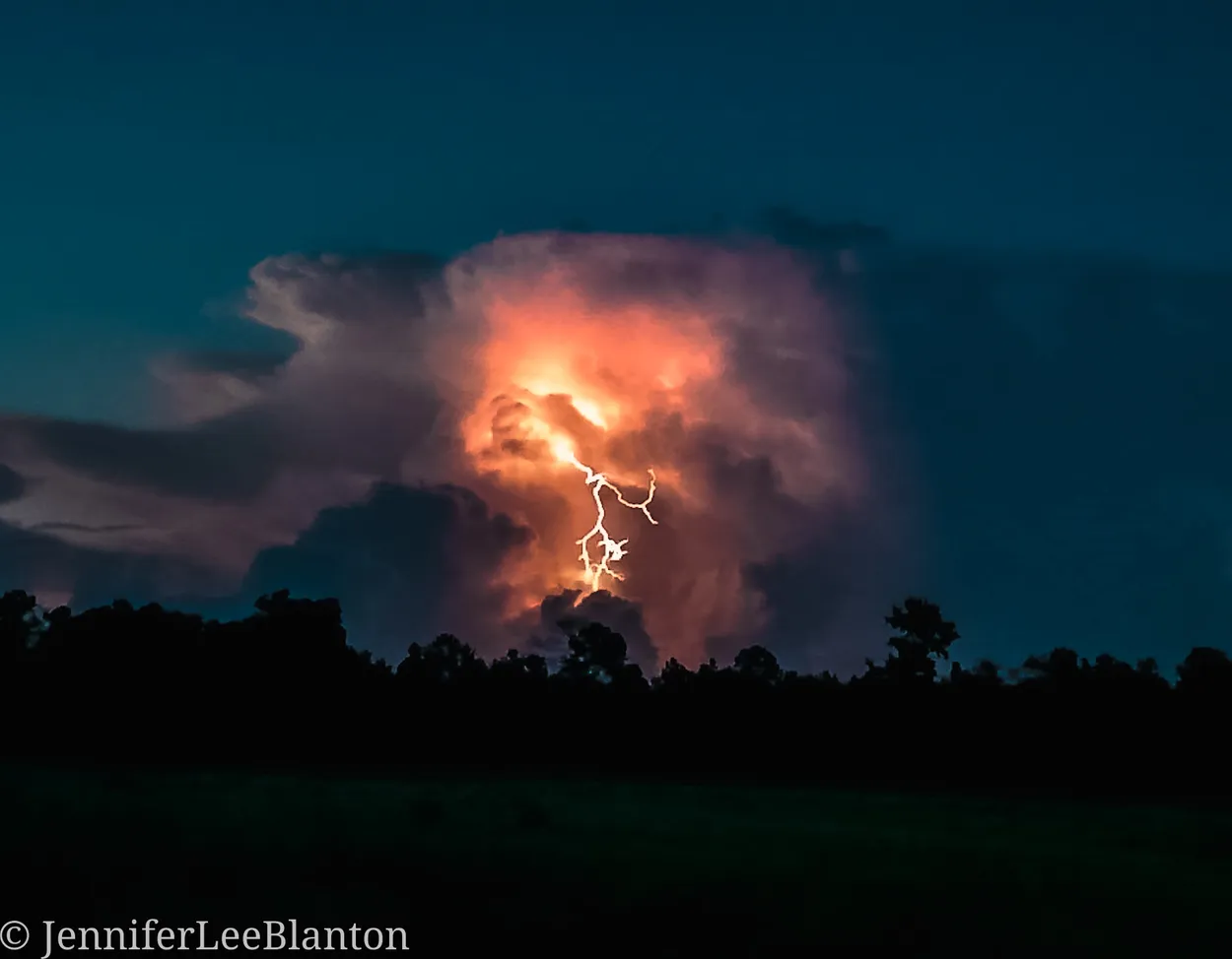 Entry 24827351