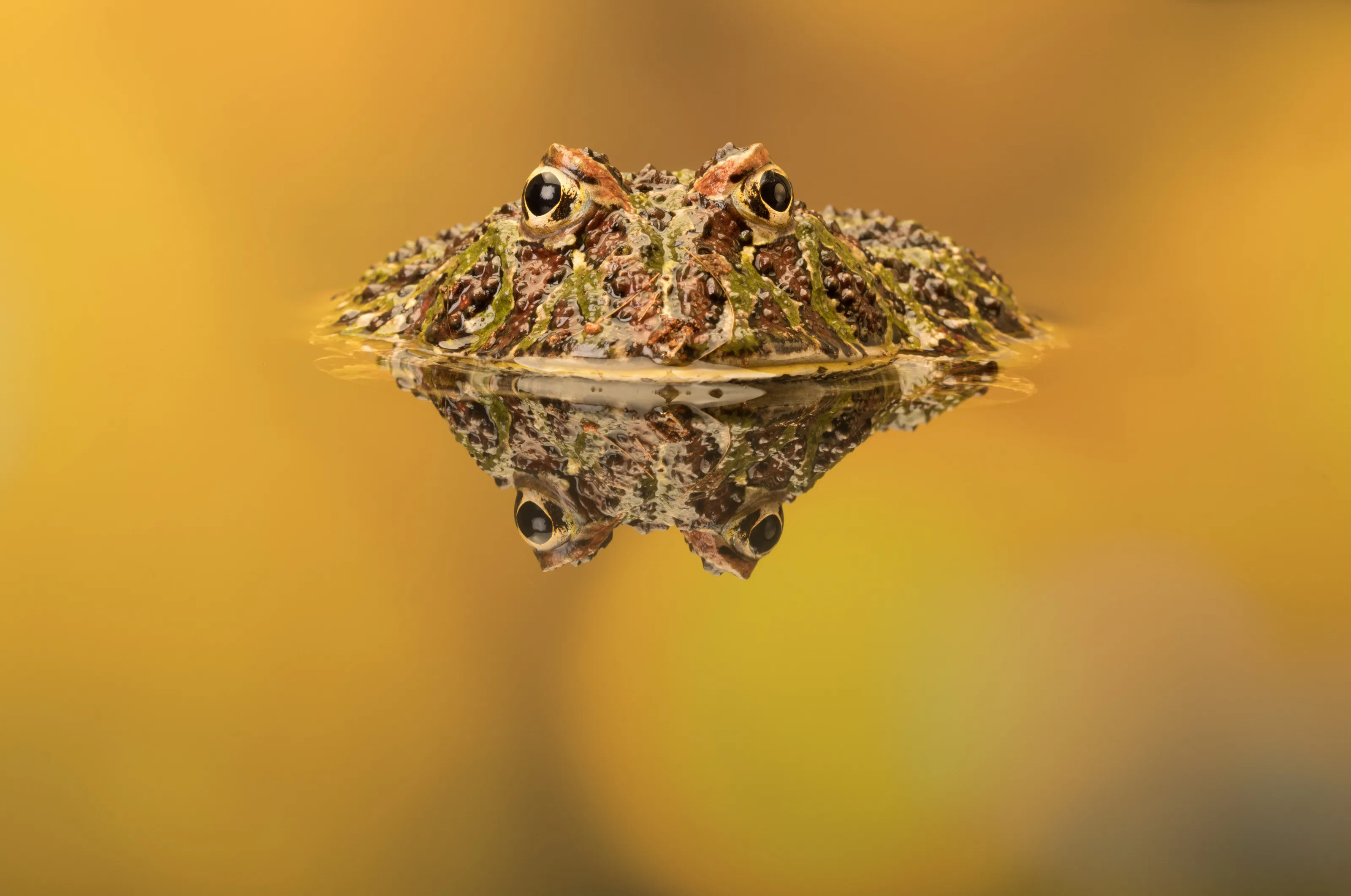On reflection