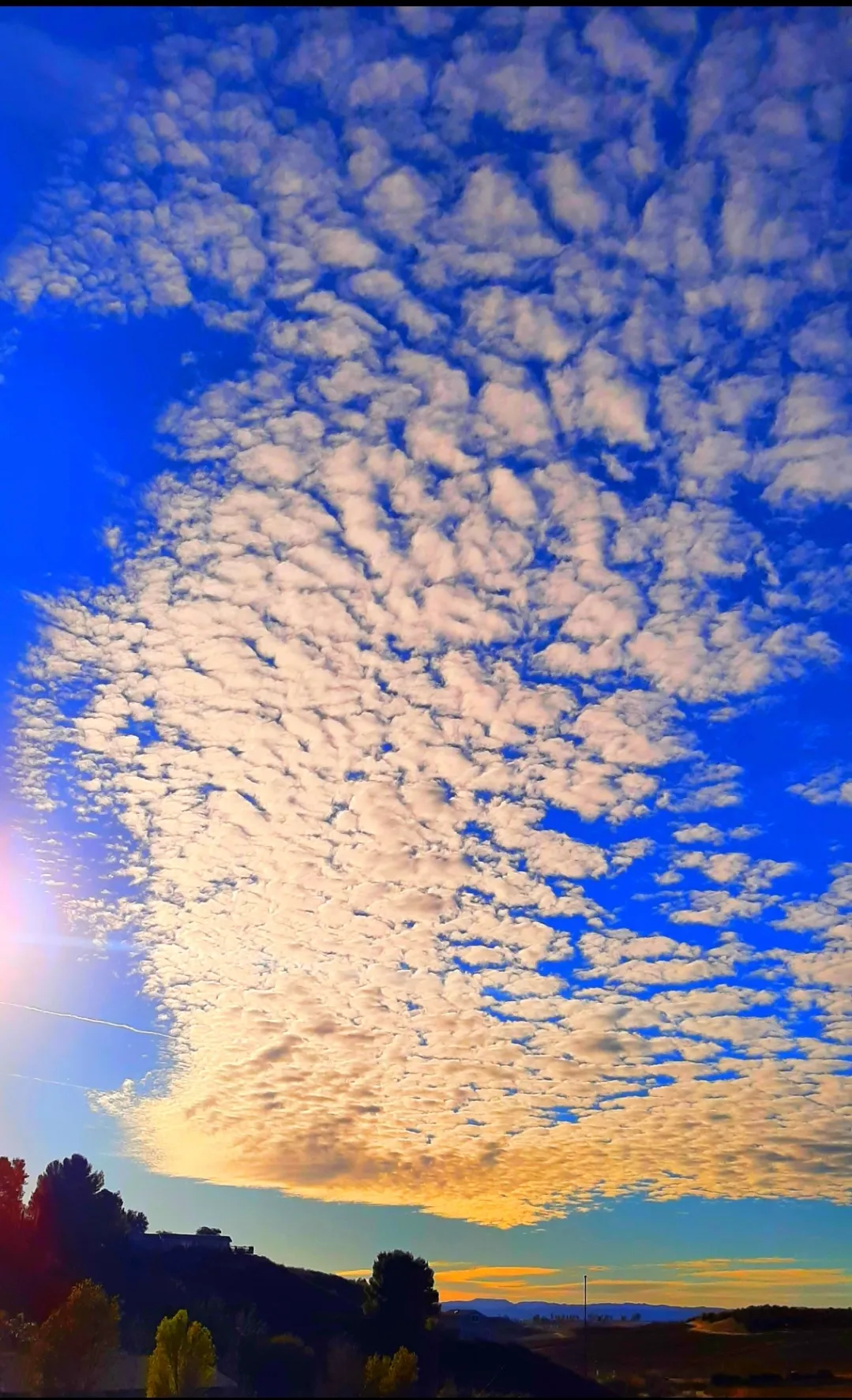 Temecula vineyard sky