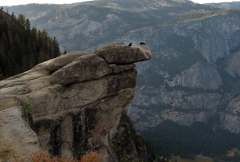 Entry 26922728