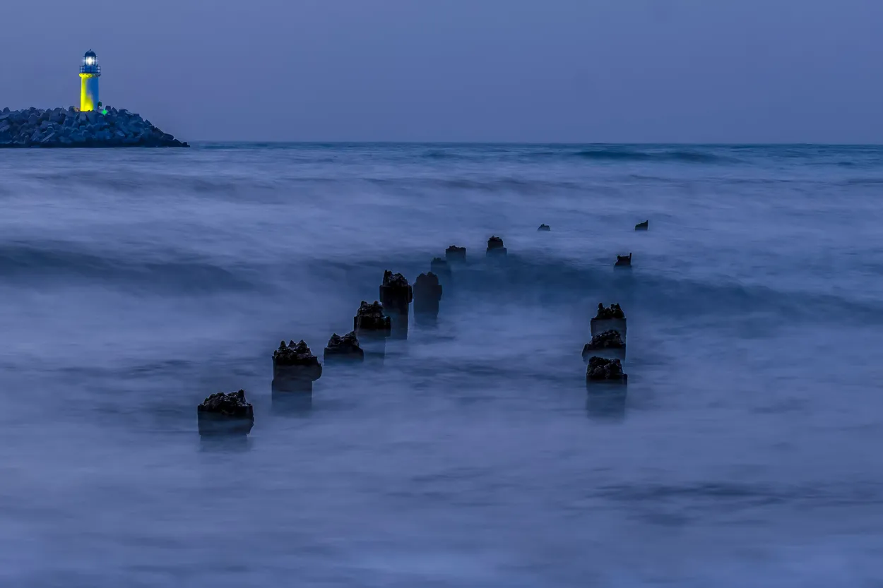 Entry 24858646
