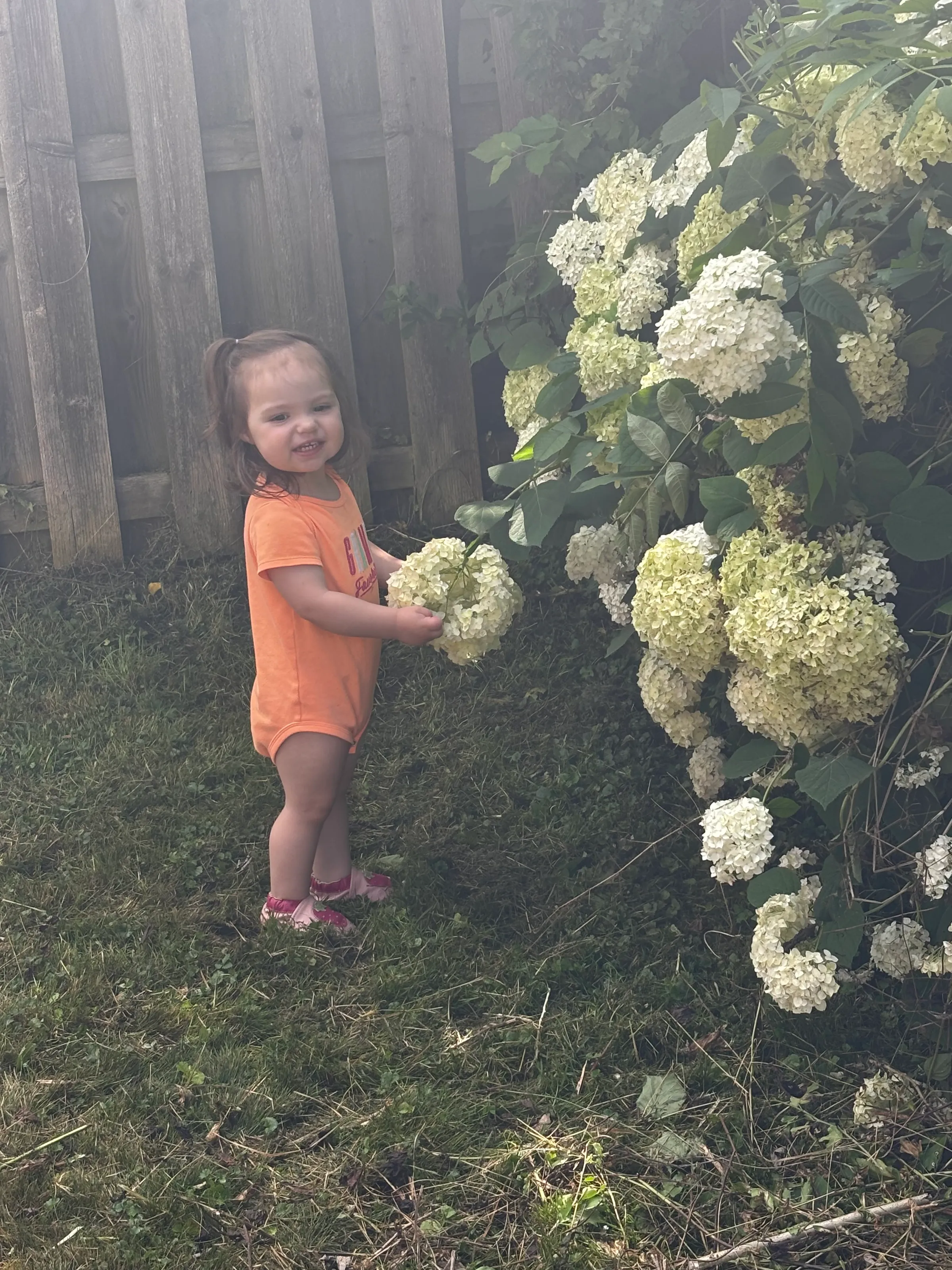 Flower Girl