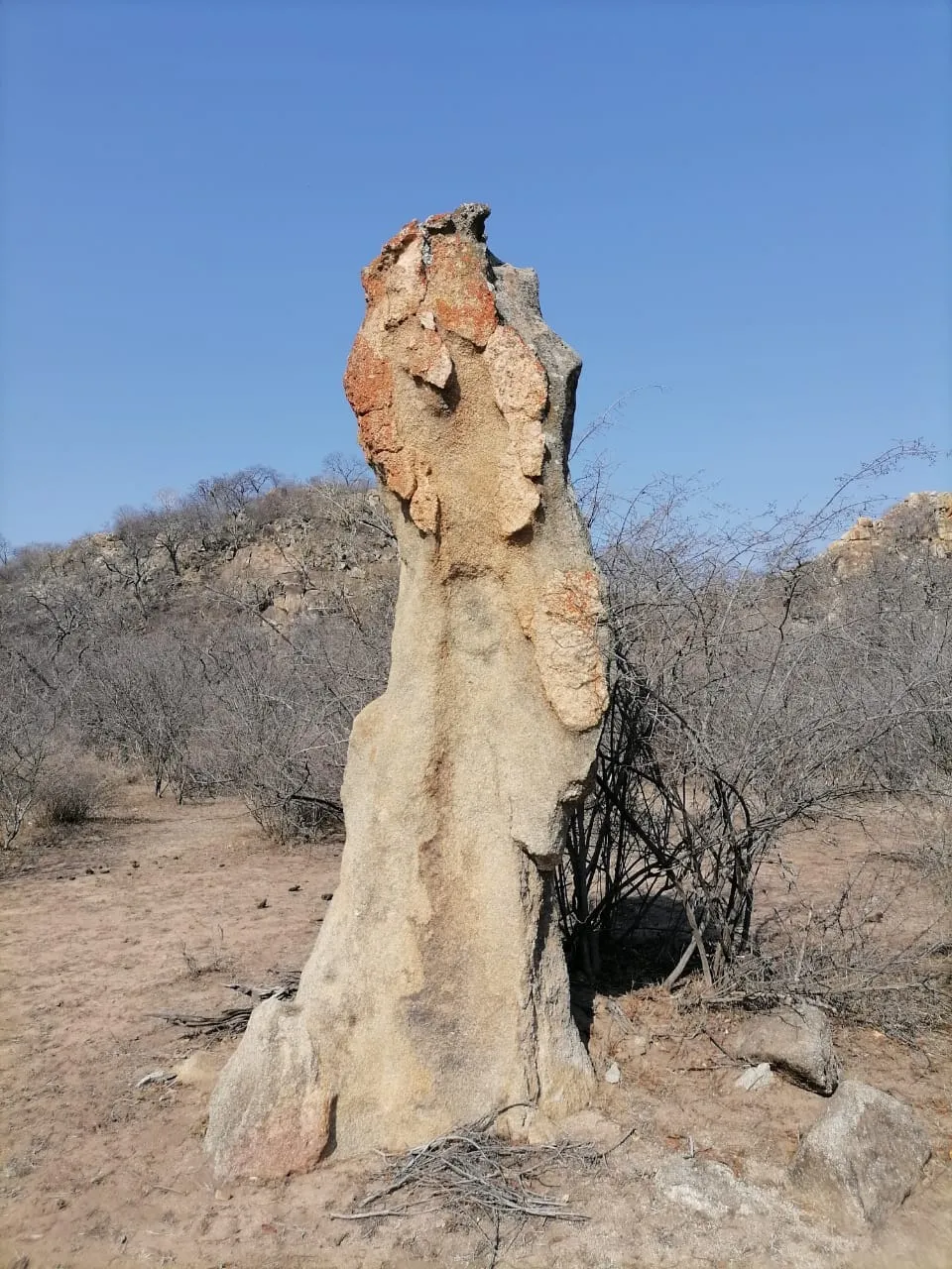 Nature wonders