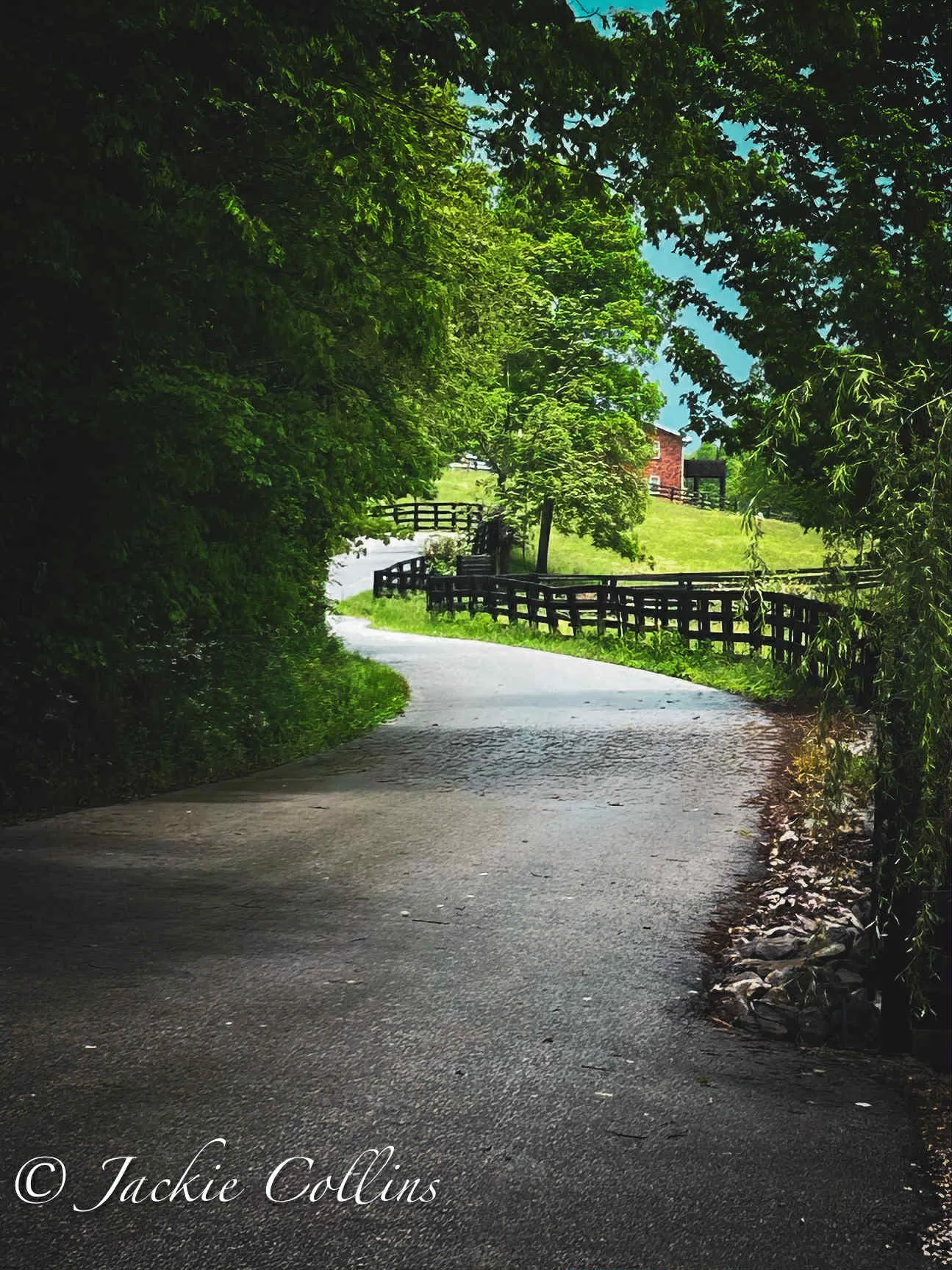 Curves of Country Calm