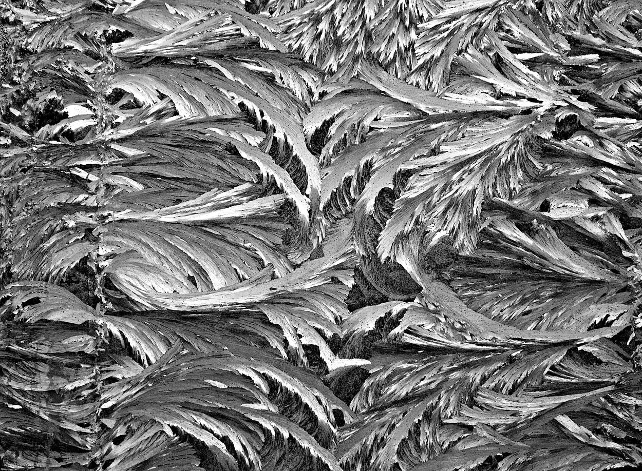 Entry 1360009