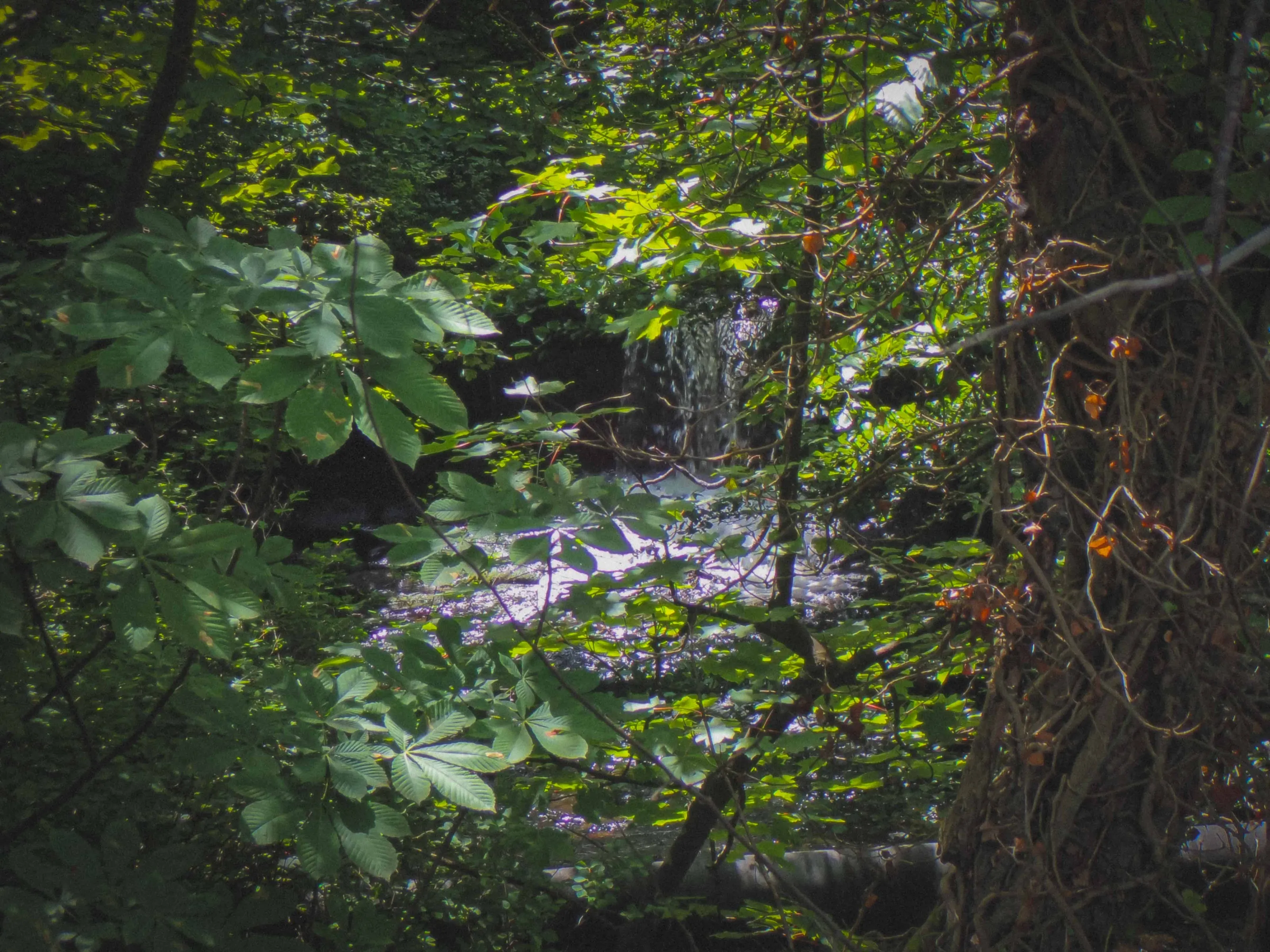 The enchantment waterfall