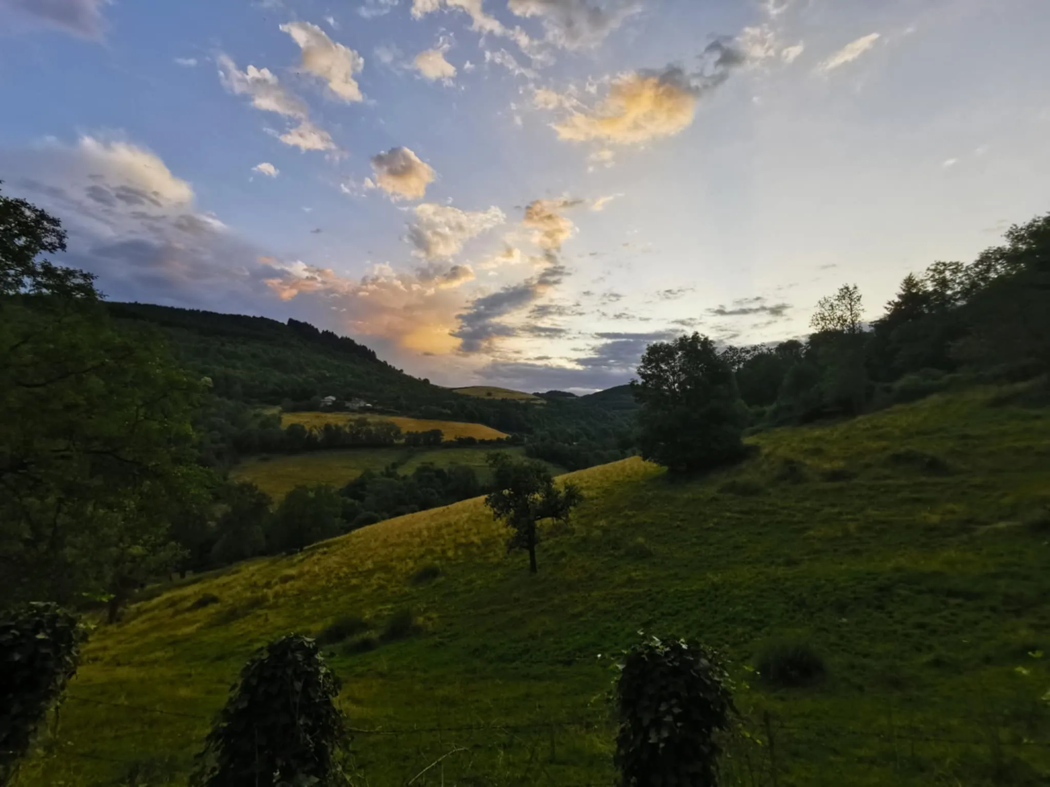 Paysage matinal