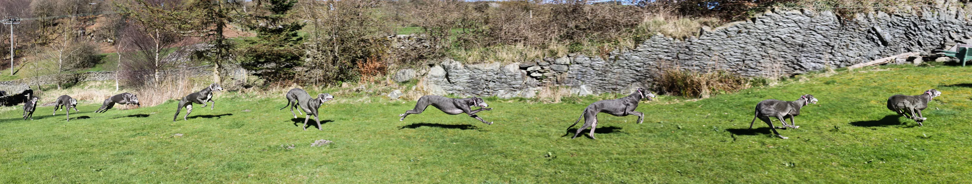 Blue Skye Running #2