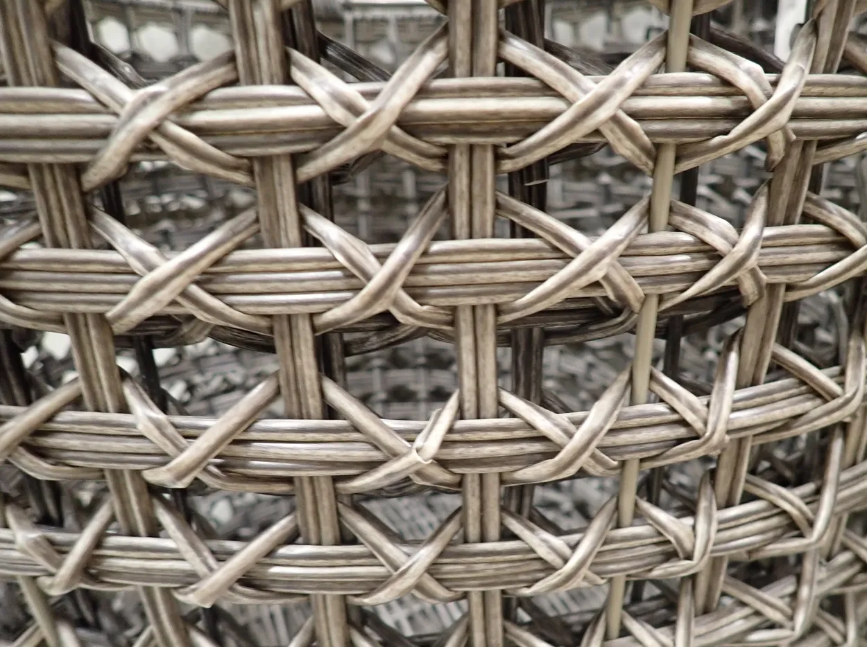 Entry 24906122