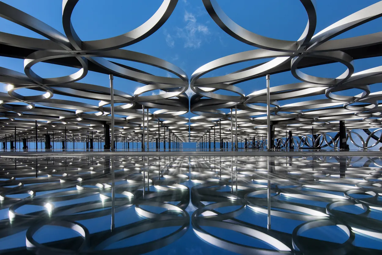 Entry 23153958