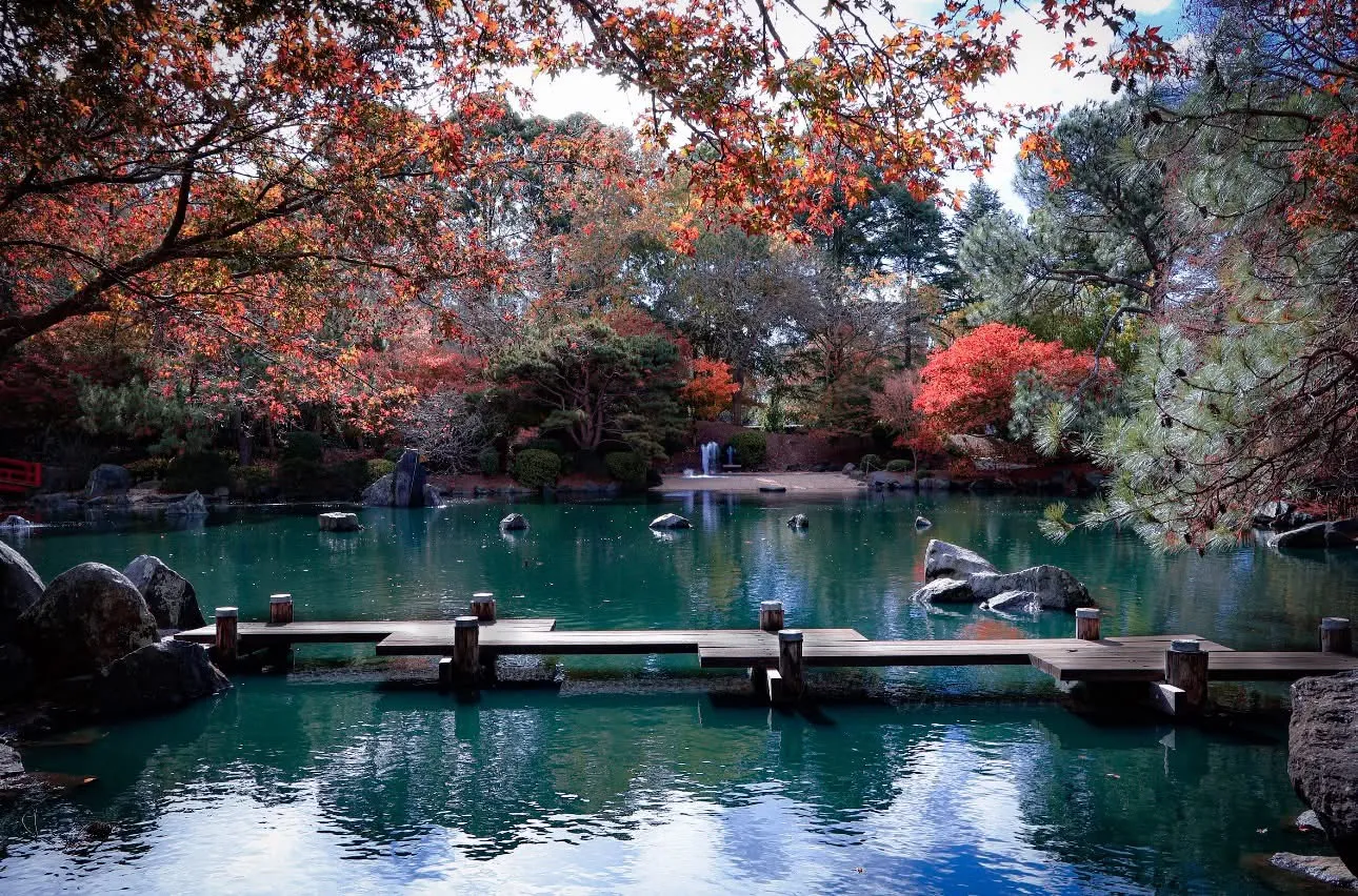 Whispers of a botanical autumn
