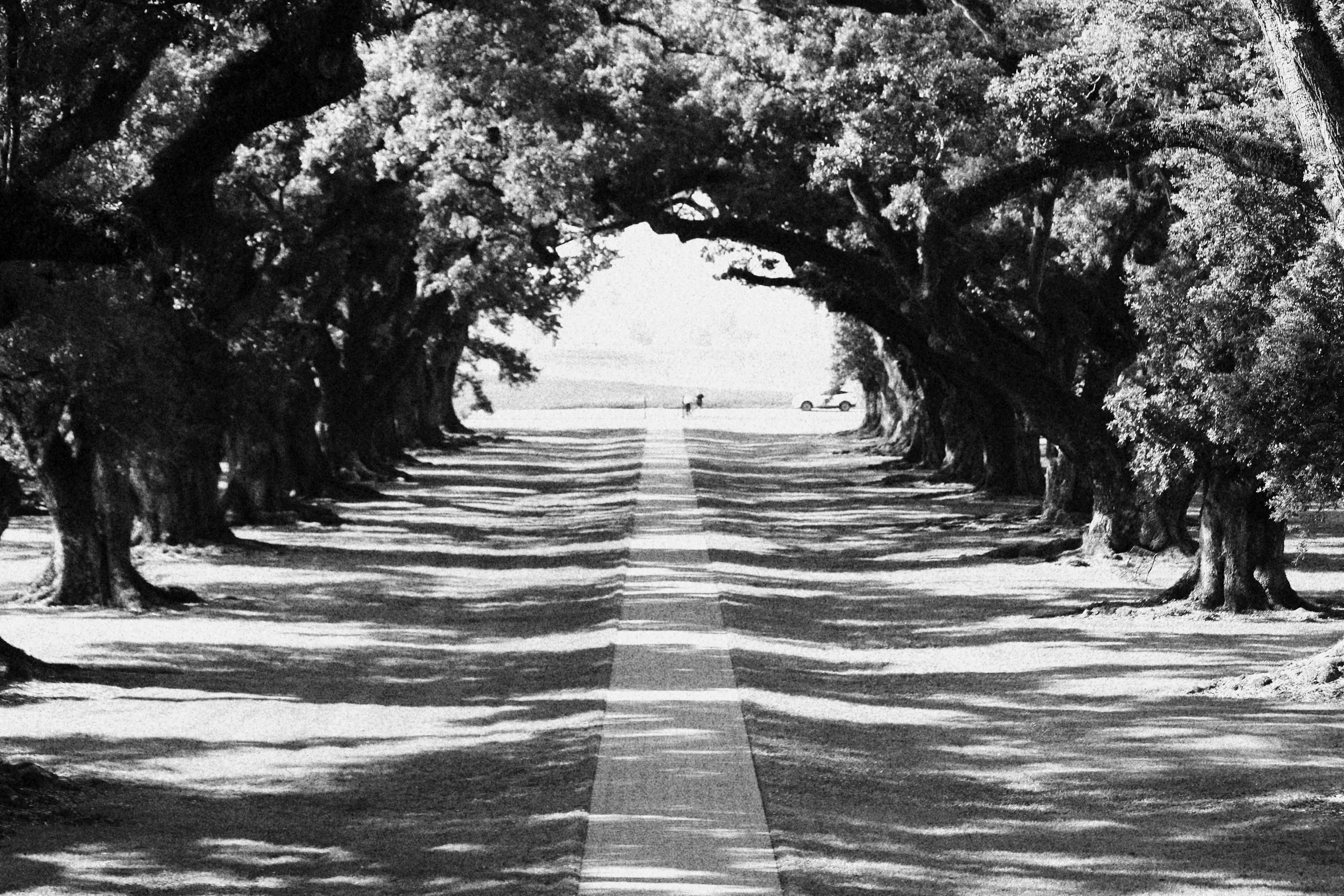 Sidewalk