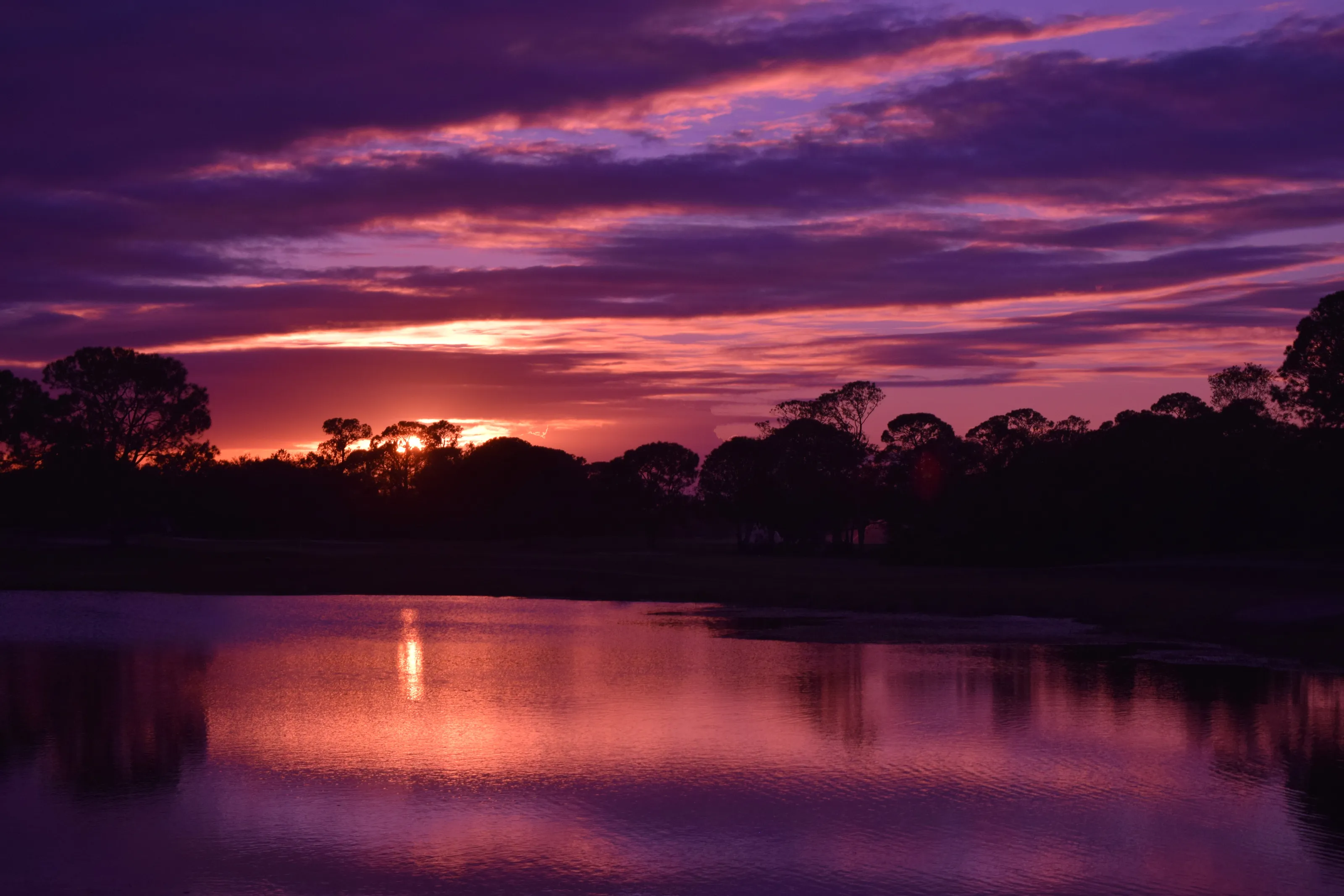 Purple Sunset