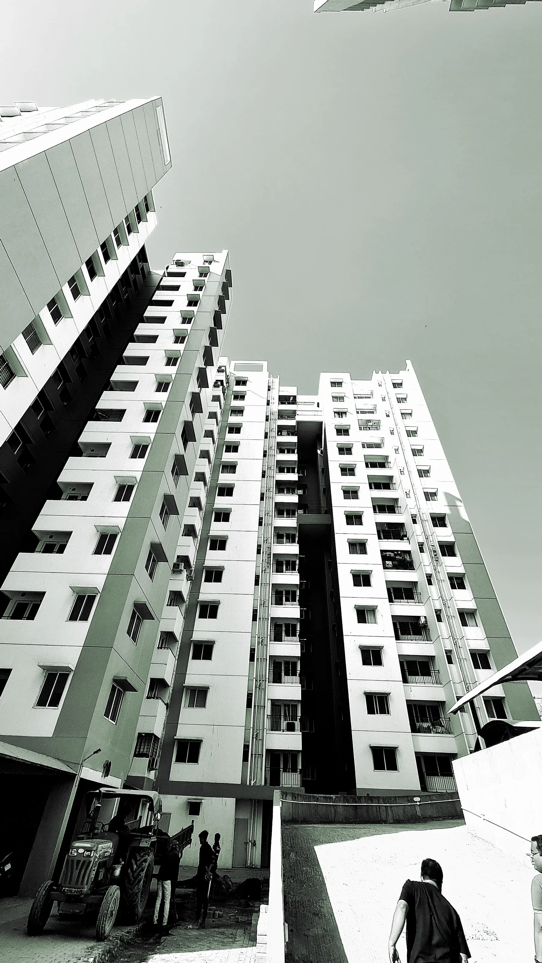 ||Vertical Echoes||