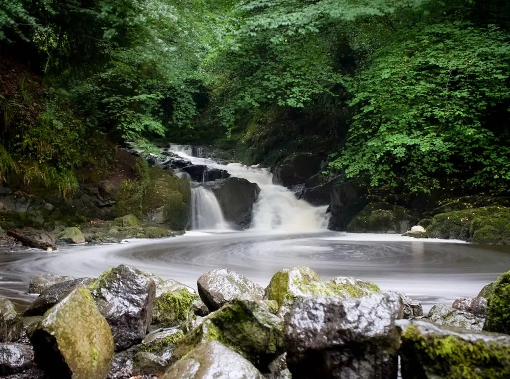 Crumlin Glen, Northern Ireland