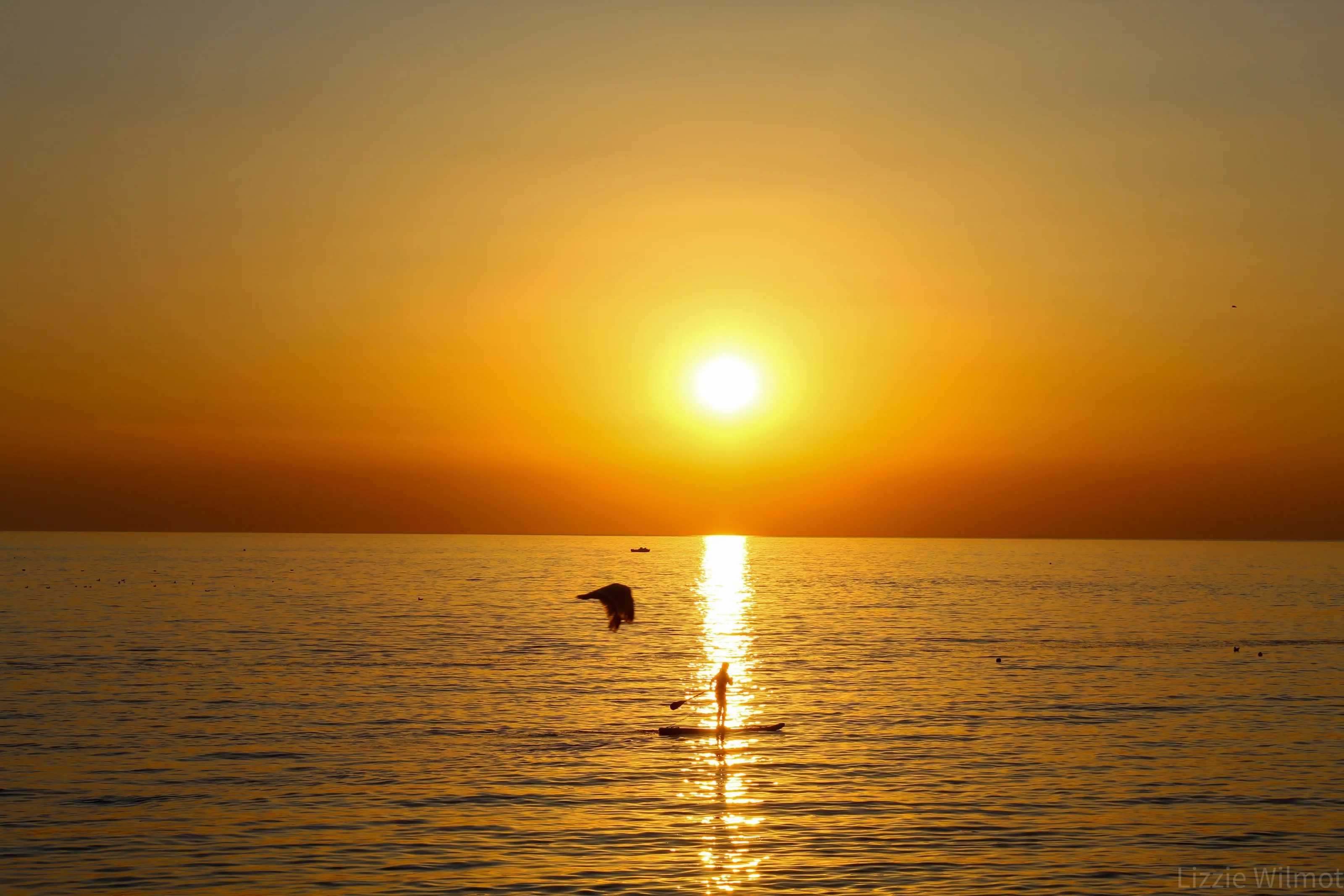 Paddle boarding at sunset