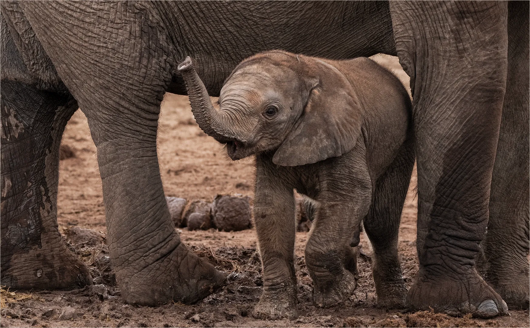 Happy baby