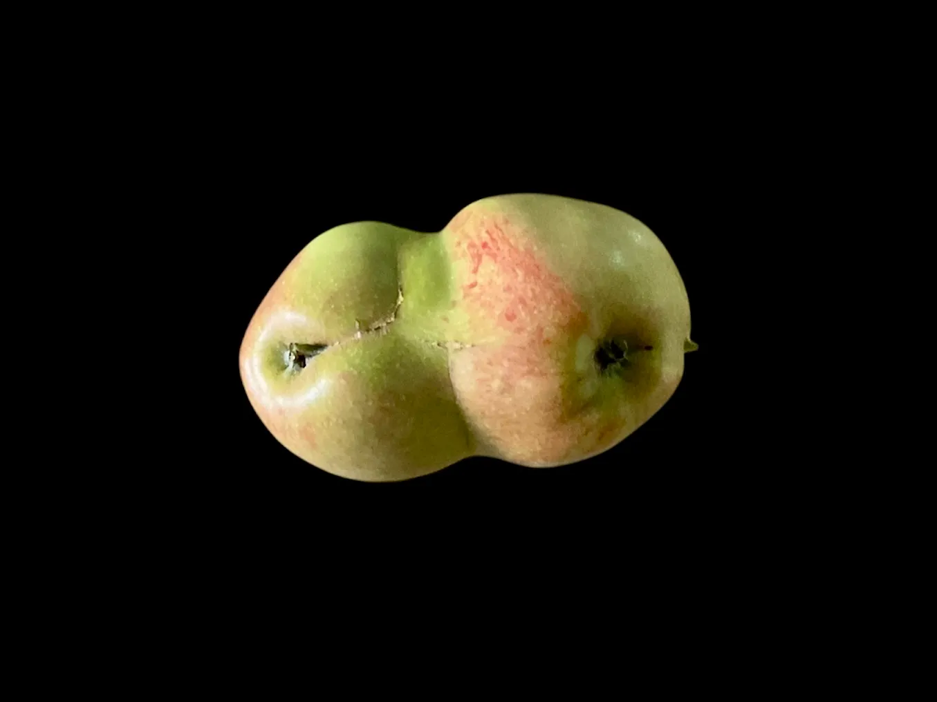 Something Odd In Nature
