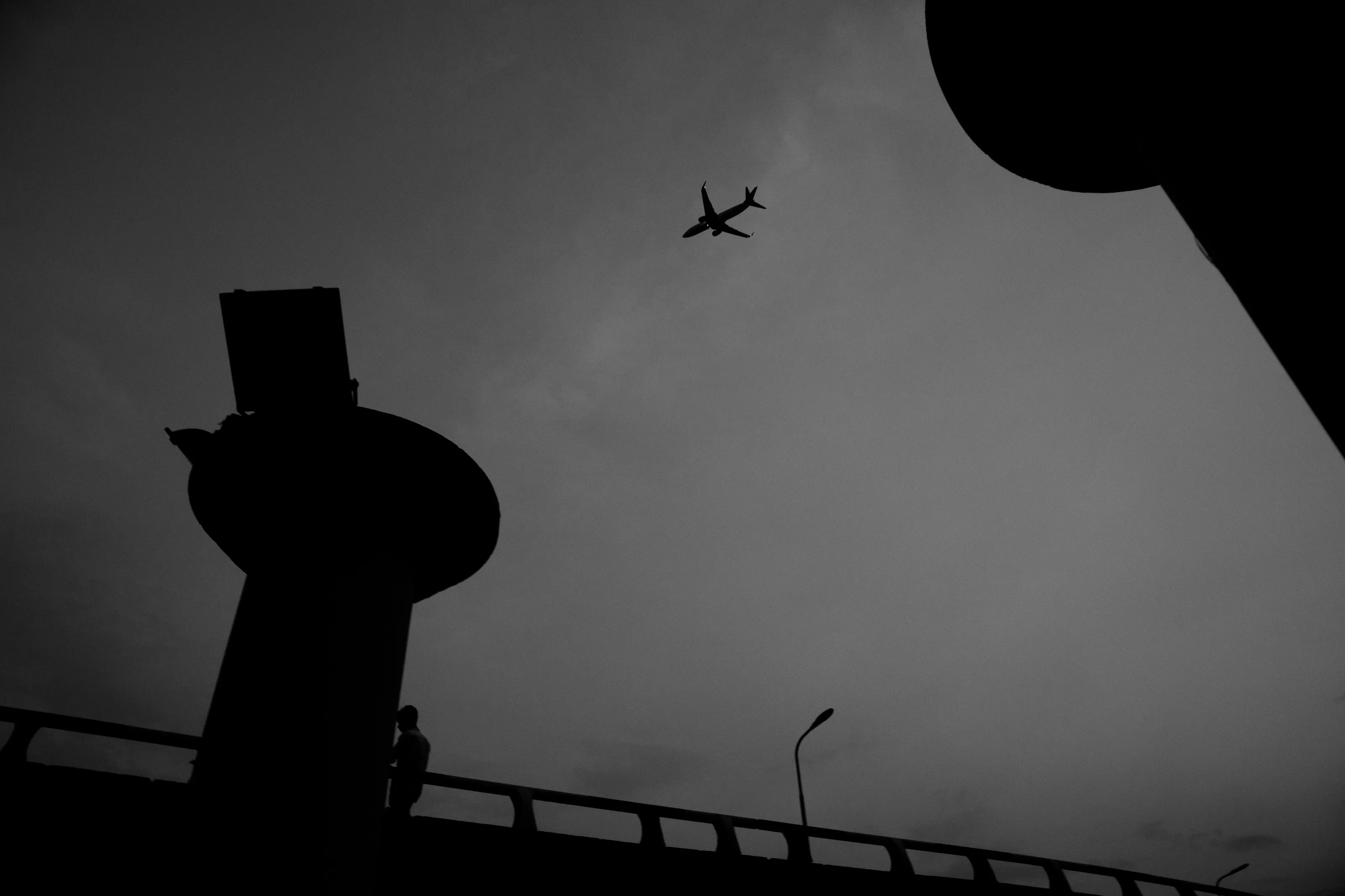 Fly away