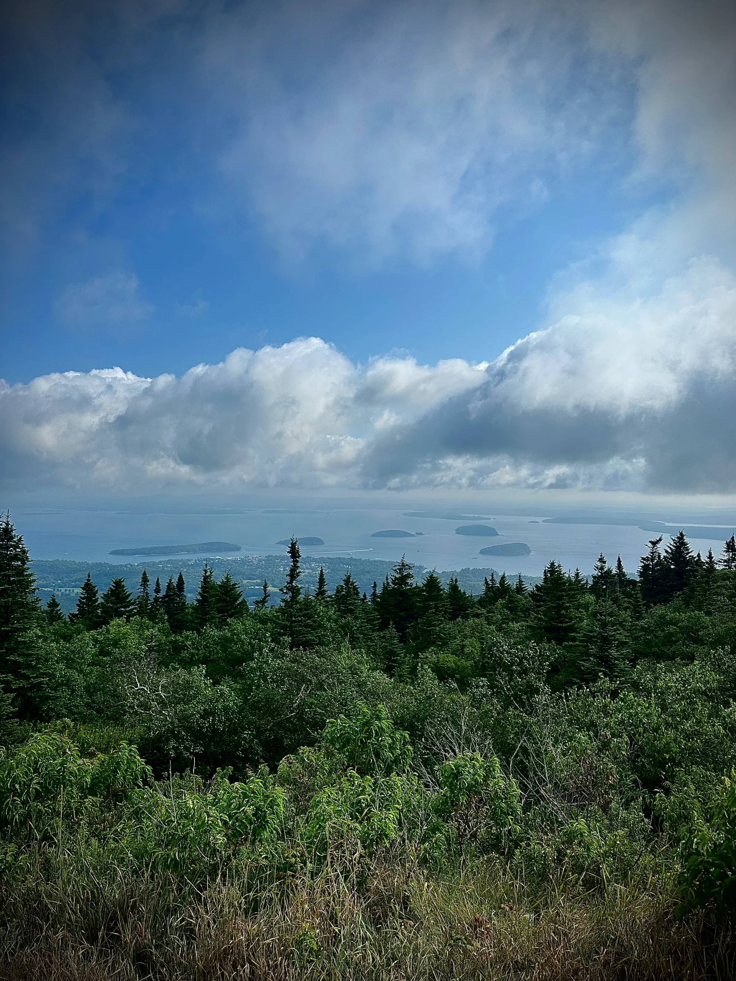 Acadia National Park in July