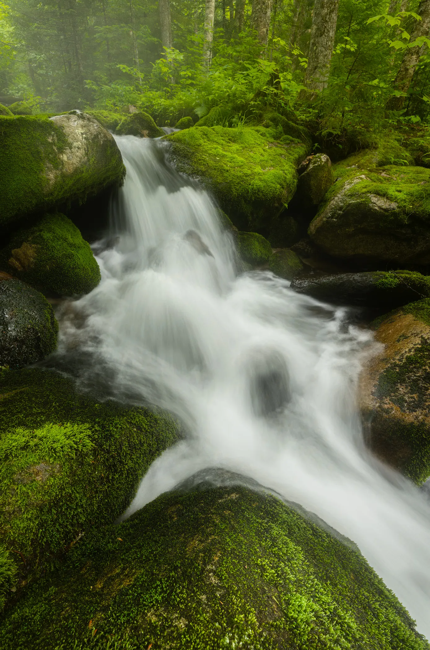 Summer in the White Mountains NH