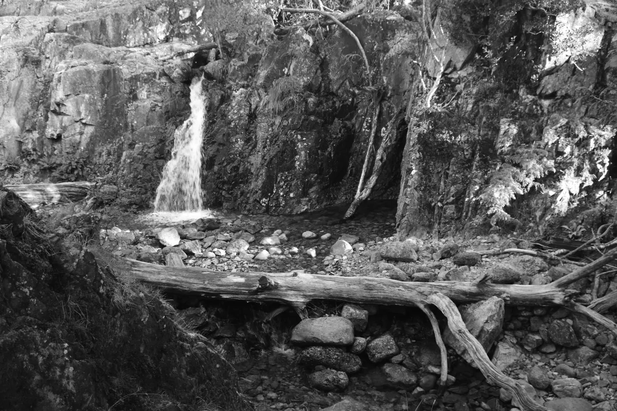 River debris