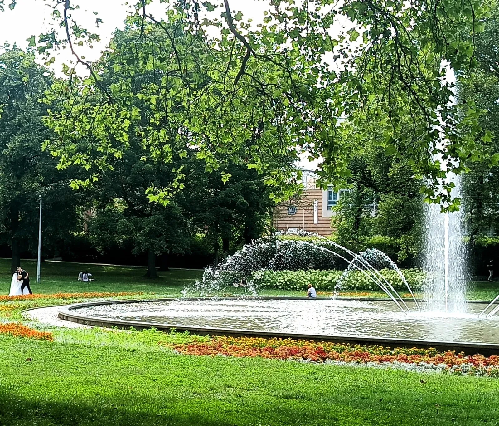 Fountain in a city park surrounded by greenery and trees on a summer day