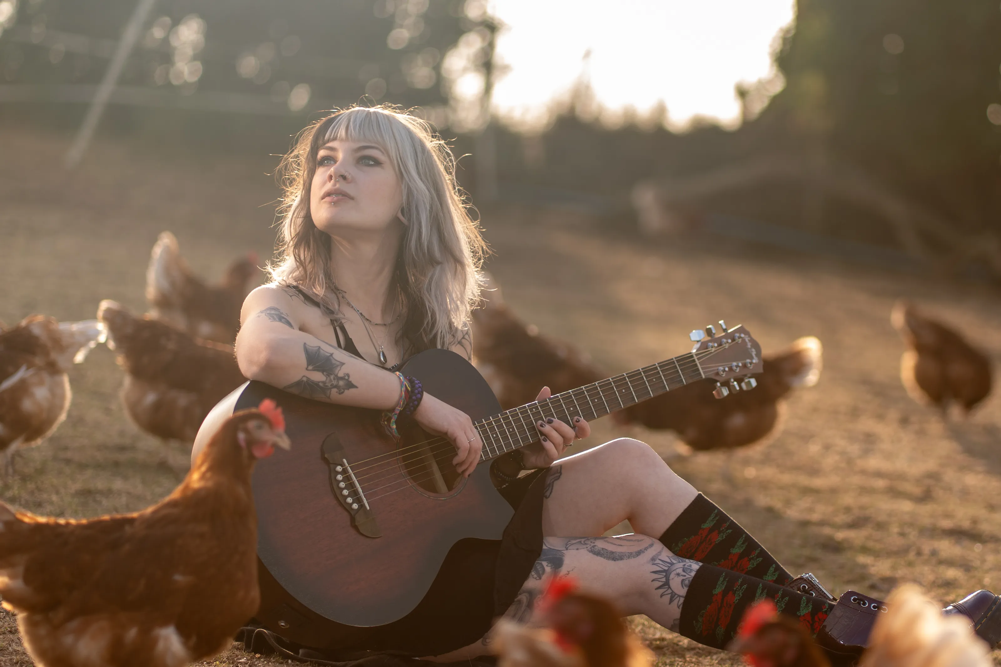 Sun-Kissed Song