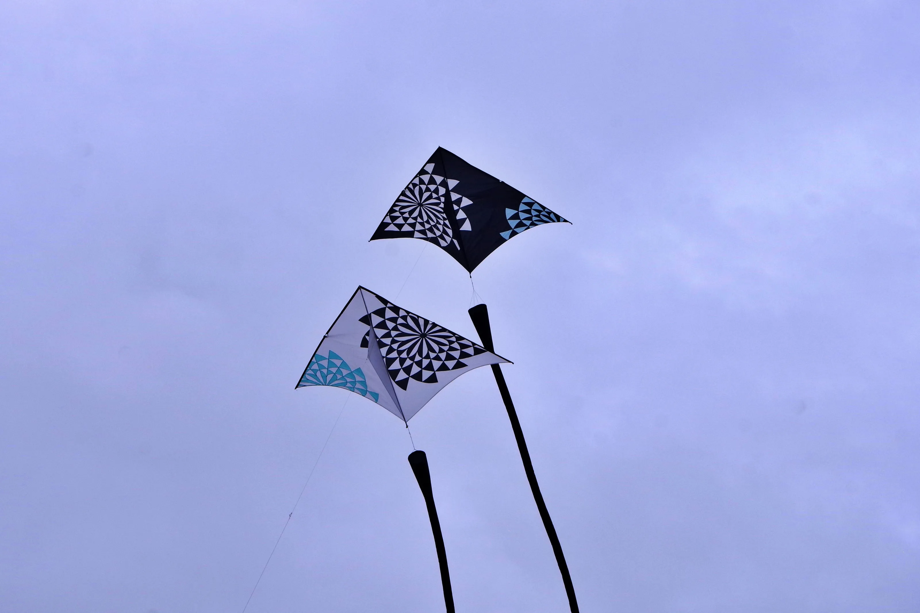 Kite Flying in Colour (not birds)