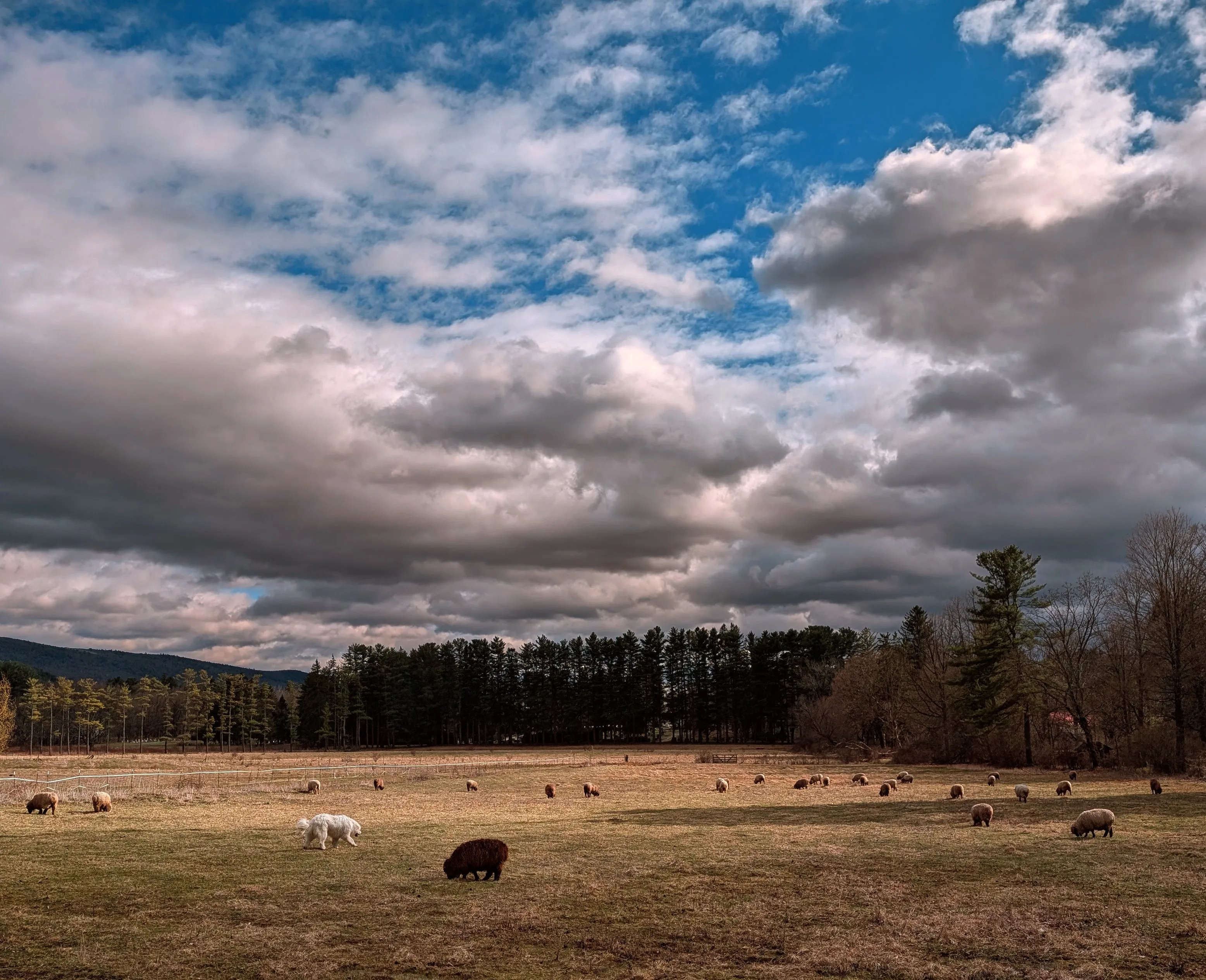 Farm Life