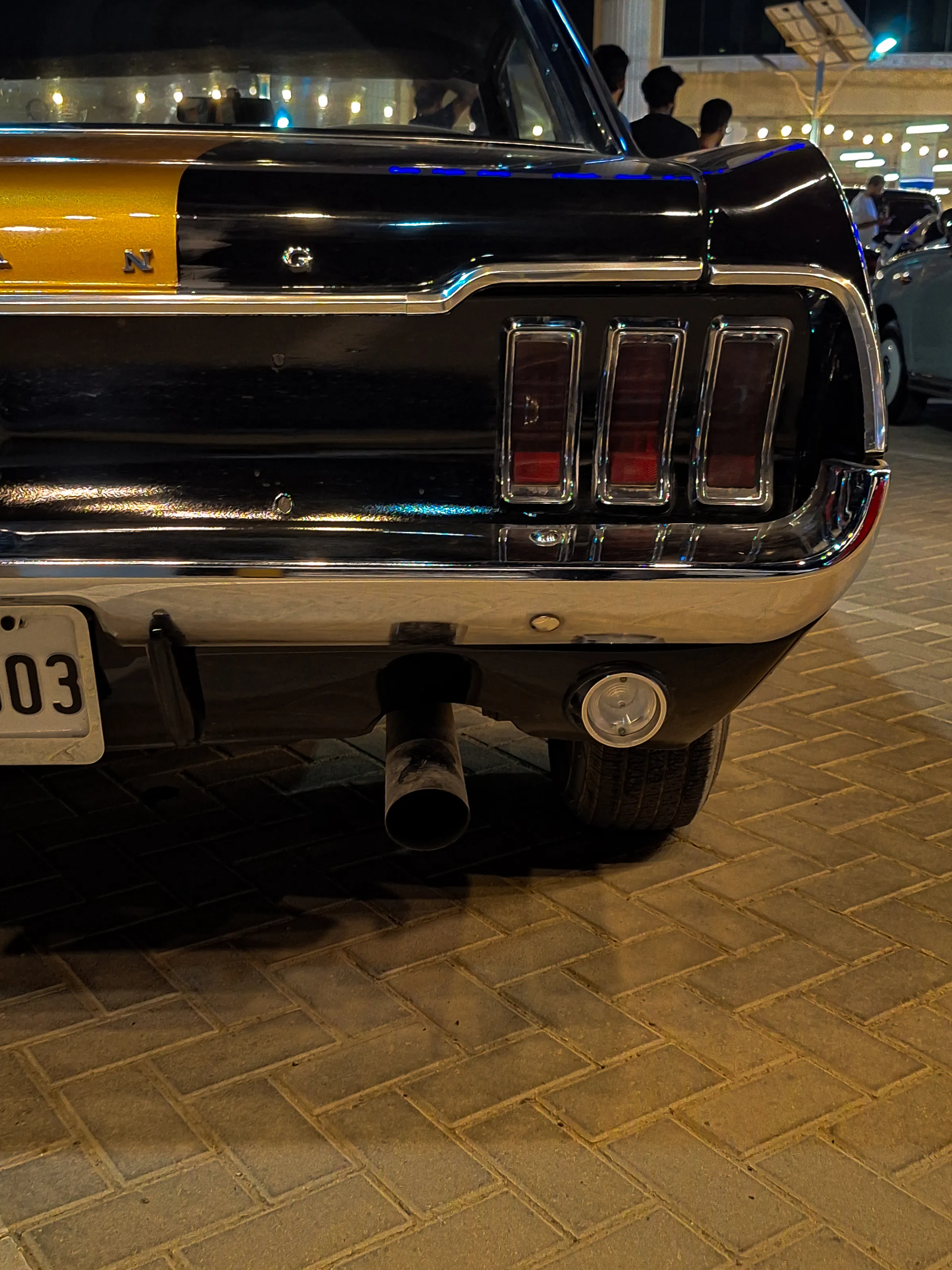The Mustang