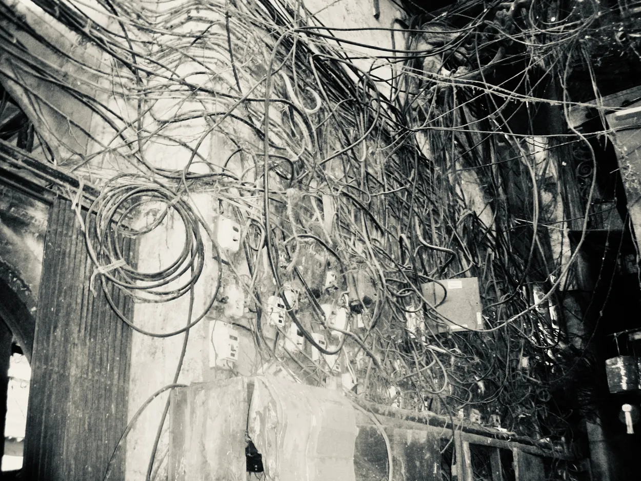 Entry 25070171