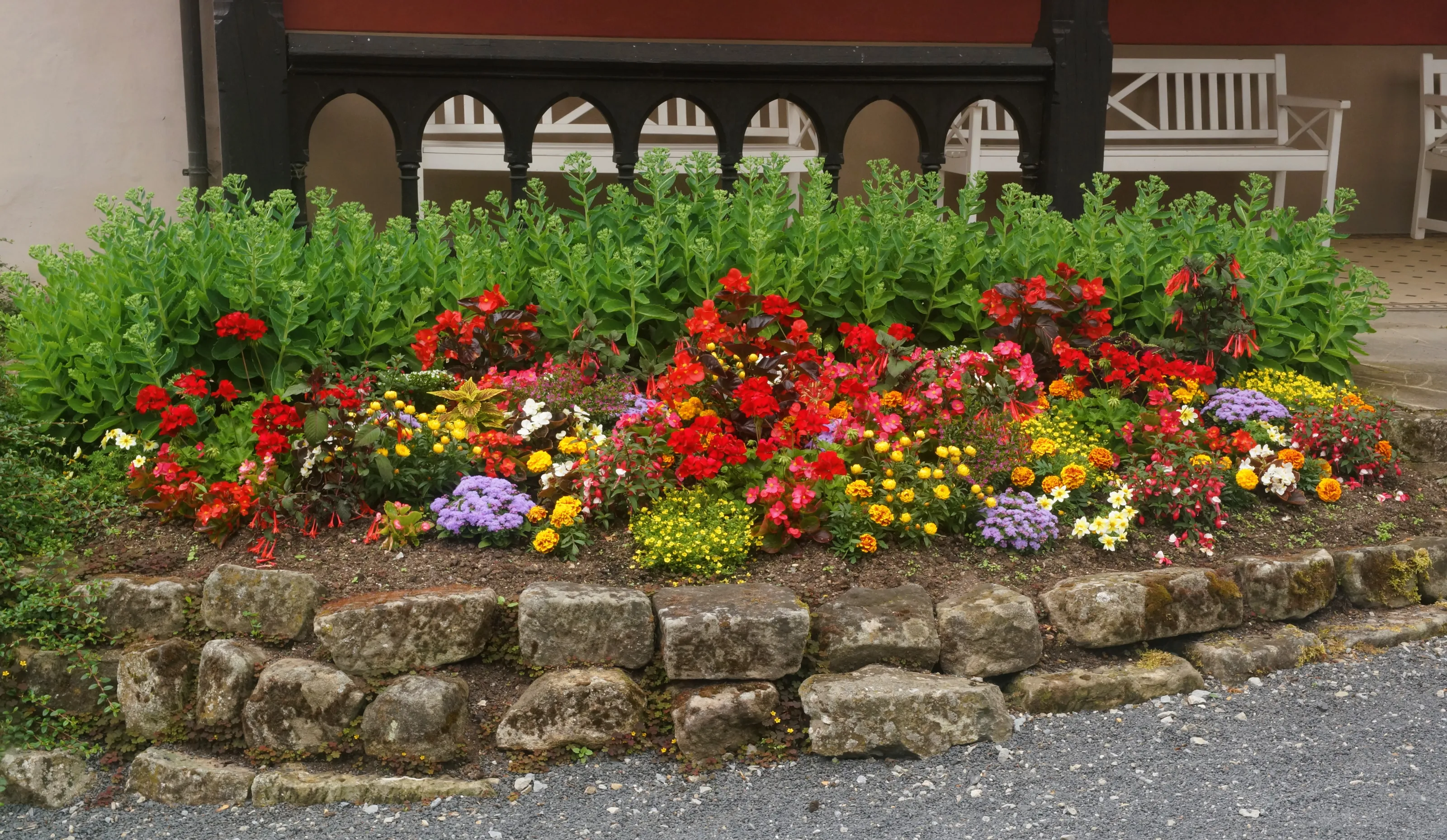 colorful summer flowers in a flower bed